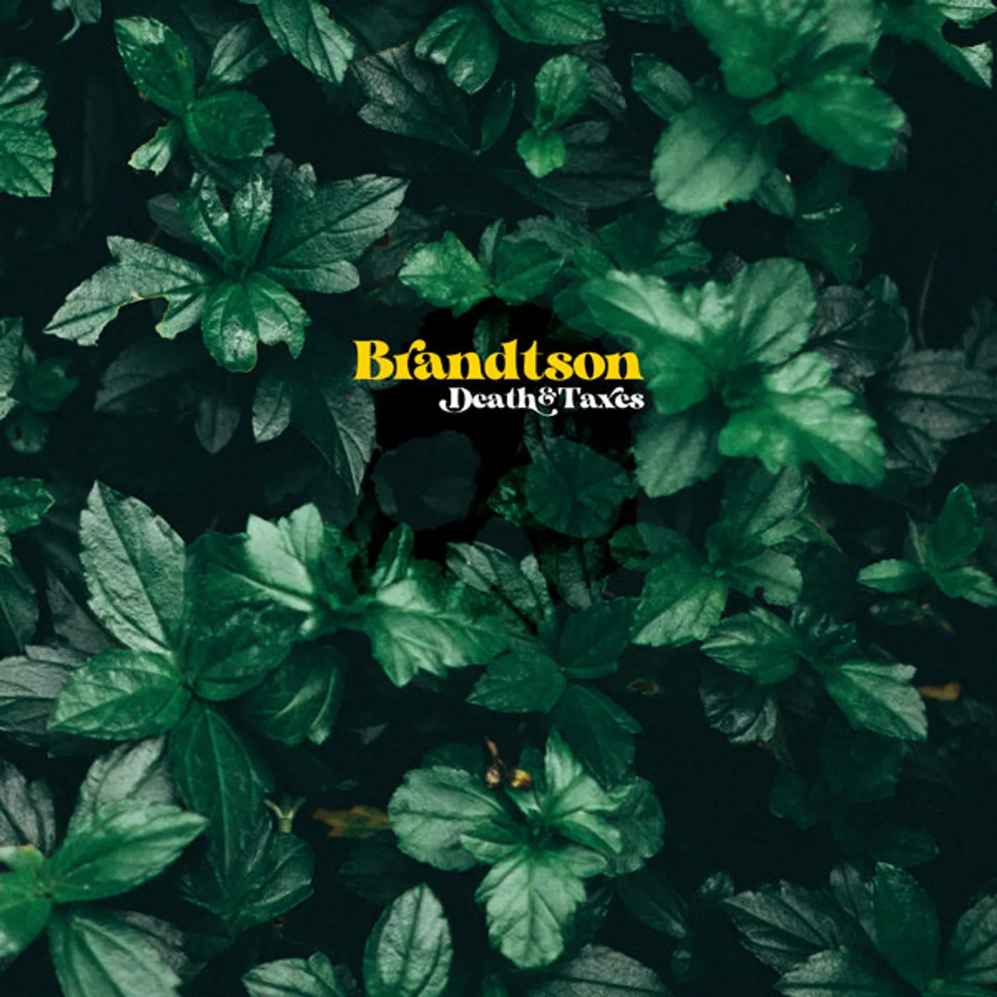 Brandtson LP - Death & Taxes (Vinyl)