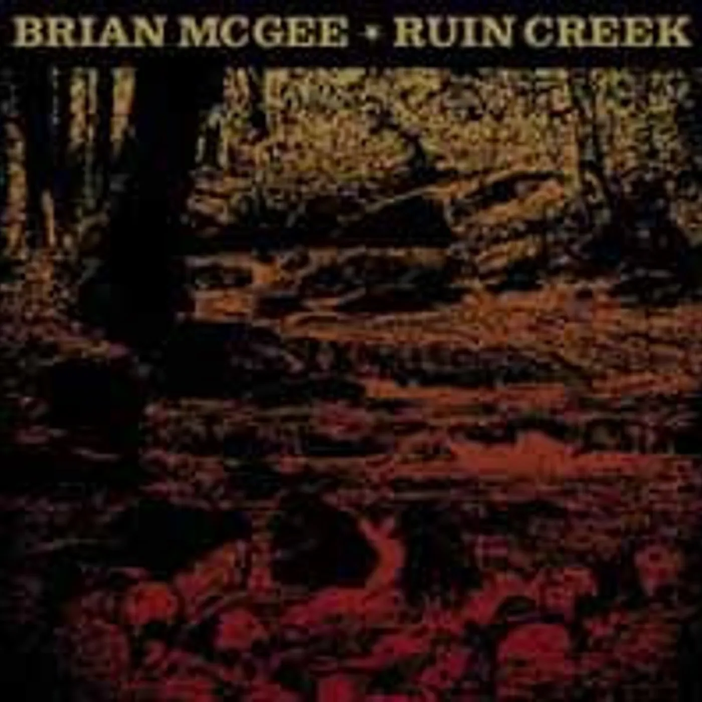 Brian Mcgee LP - Ruin Creek (Vinyl)