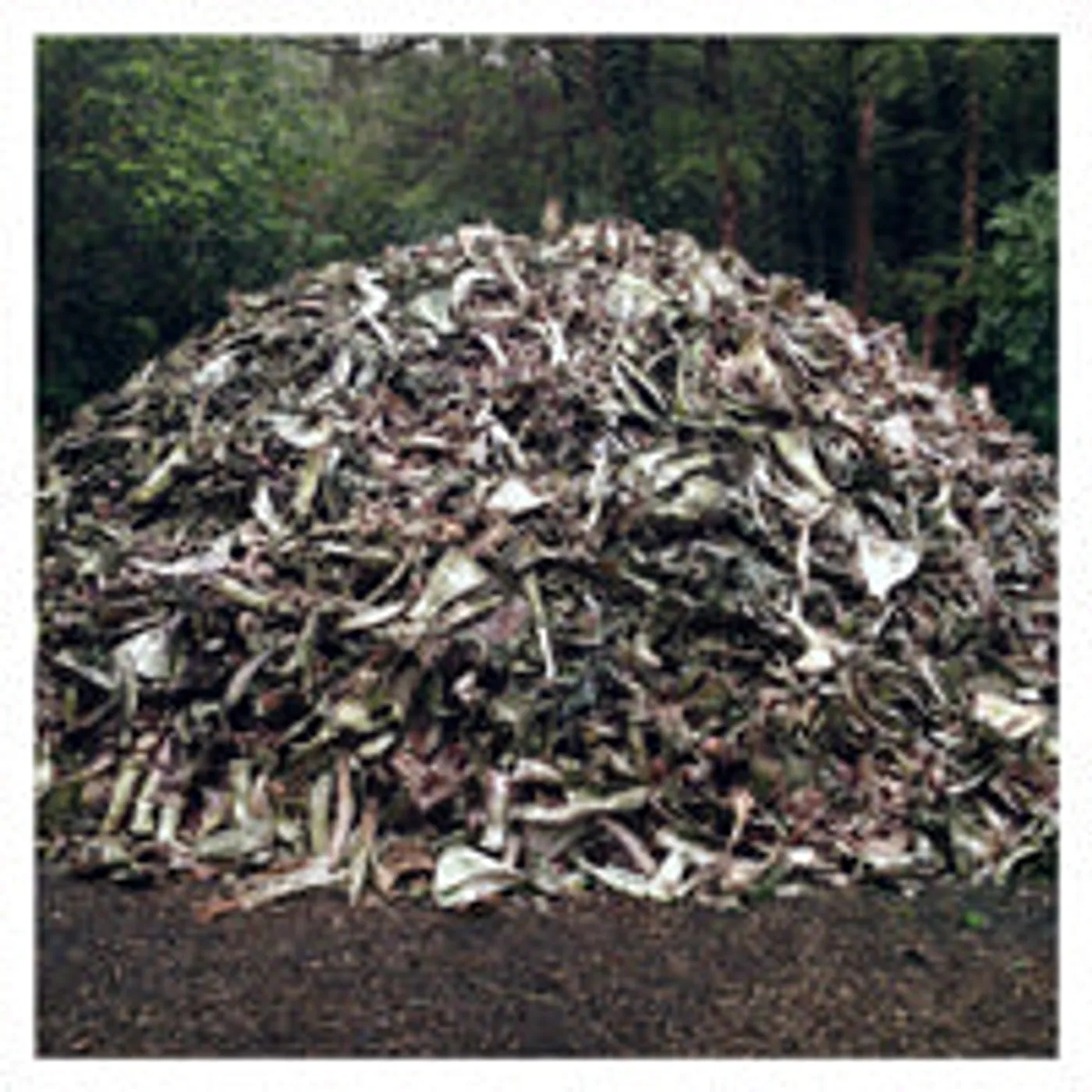 Briqueville LP - Ii (Vinyl)