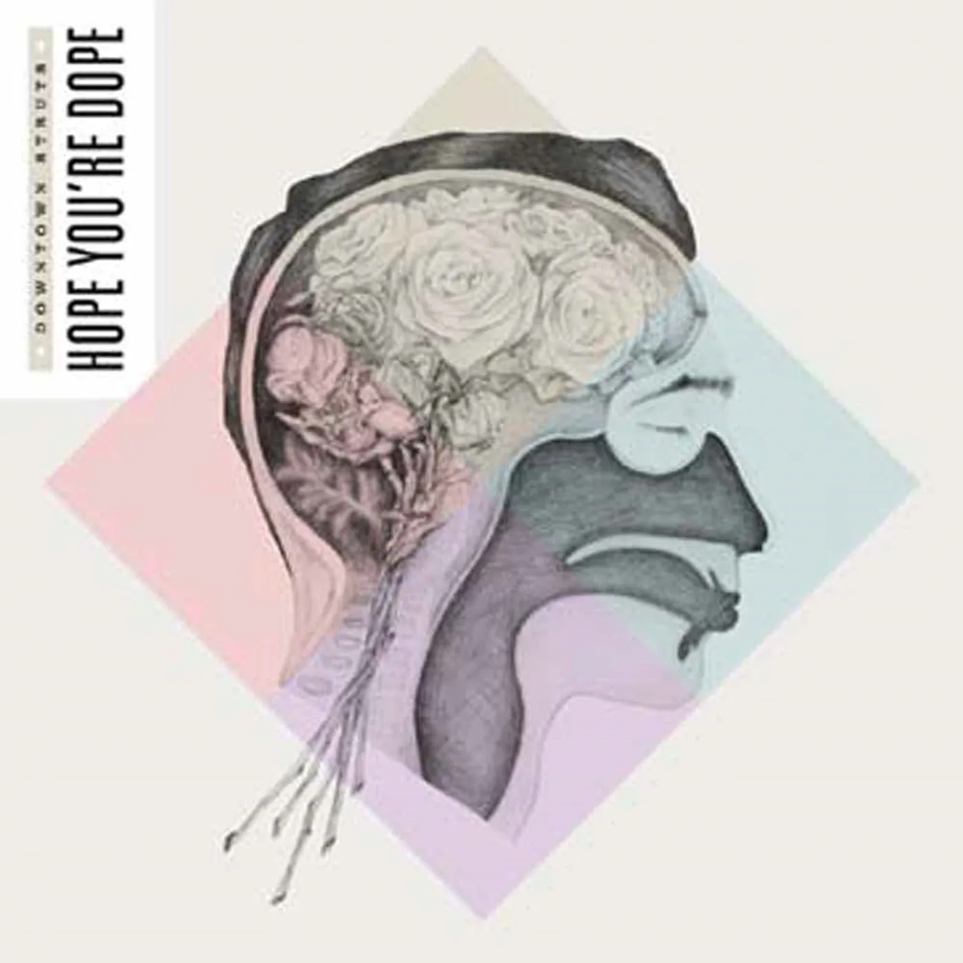 Downtown Struts LP - Hope You'Re Dope (Vinyl)