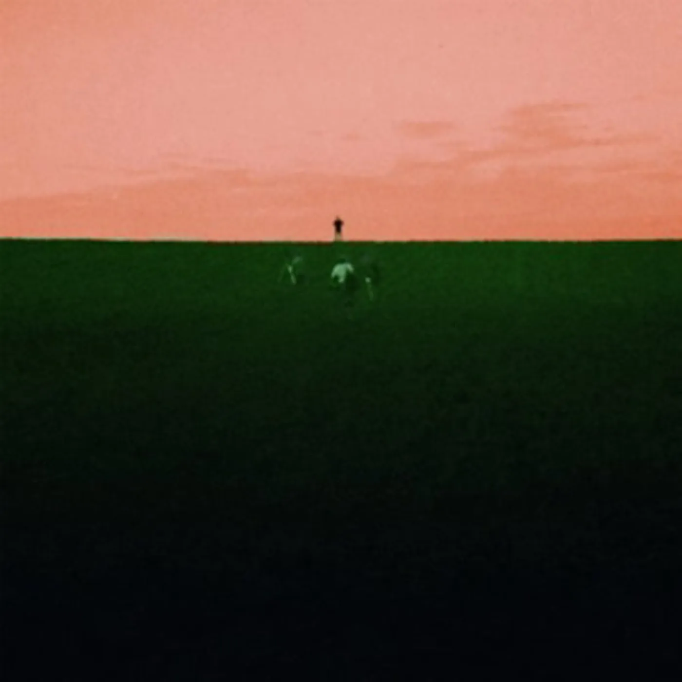 Dust Covered Carpet LP - Witness Me, Pass Out (Vinyl)