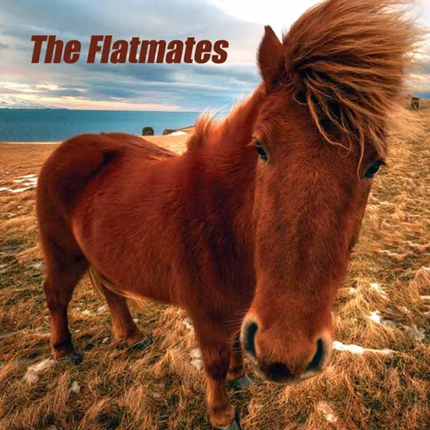 Flatmates LP - The Flatmates (Vinyl)