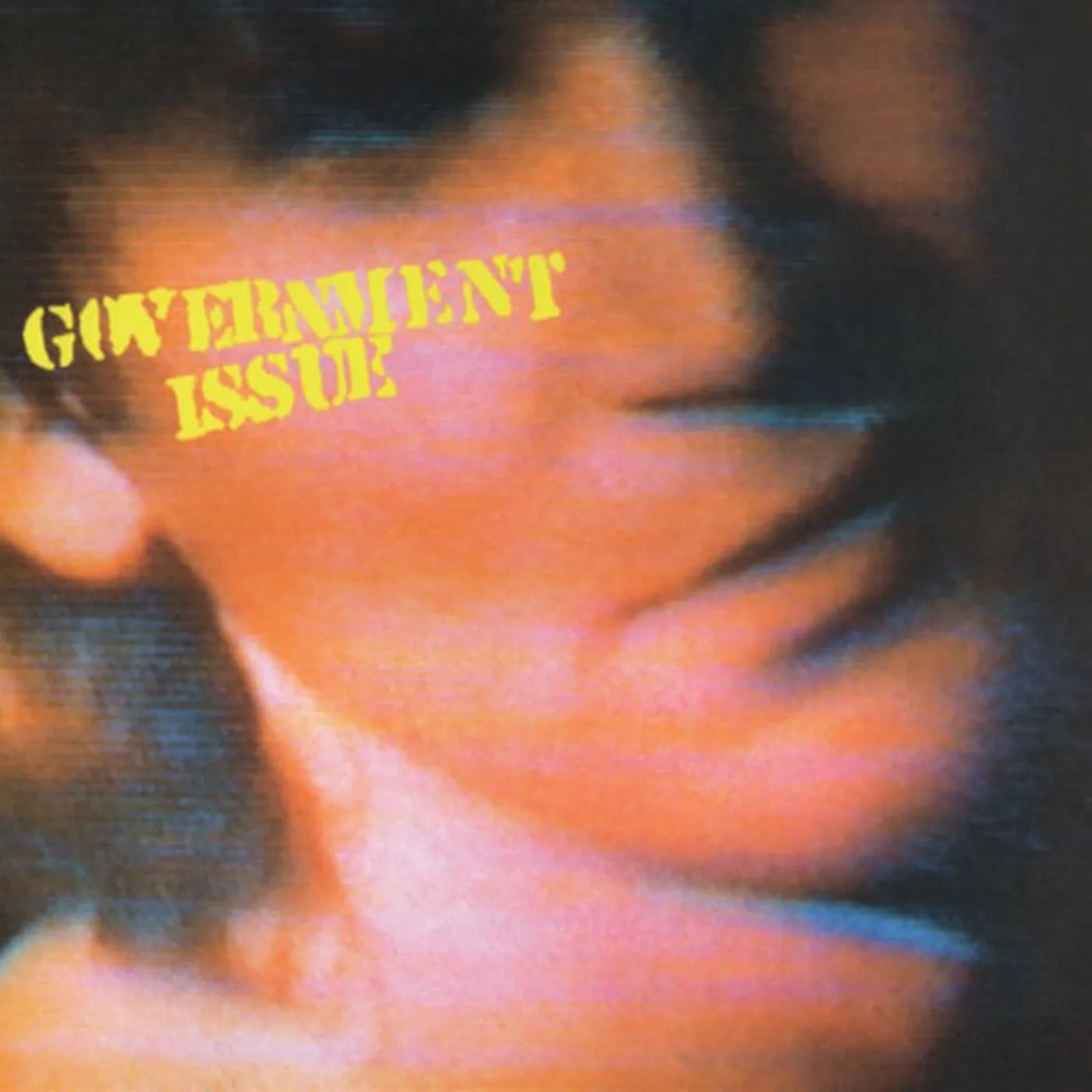  Government Issue LP - The Fun Just Never Ends (Vinyl)