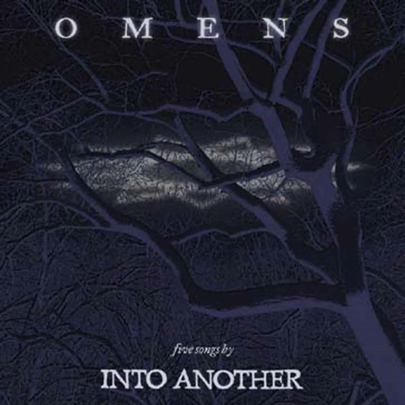 Into Another LP - Omens (Vinyl)