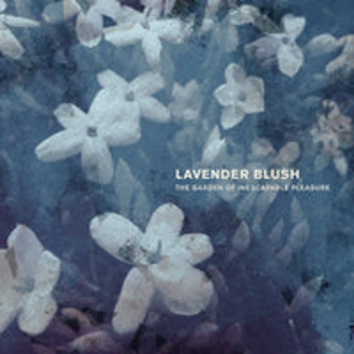 Lavender Blush LP - The Garden Of Inescapable Pleasure (Vinyl)