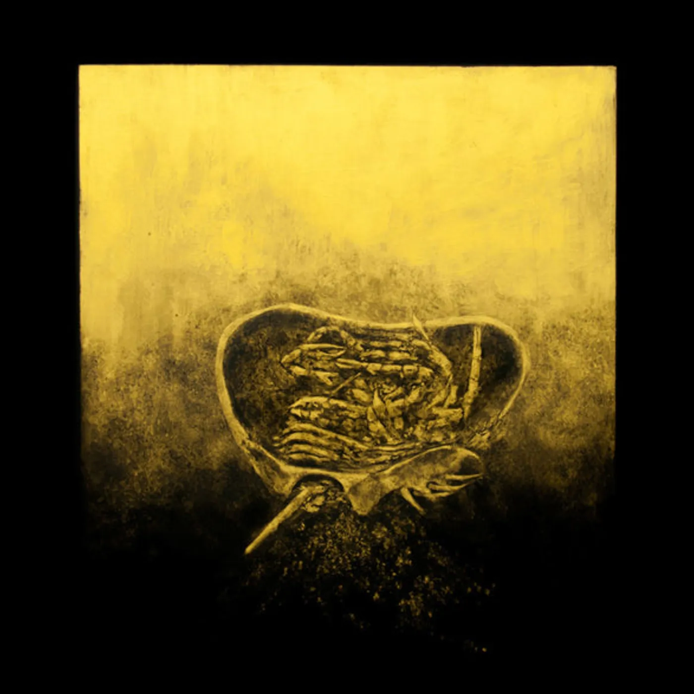 Luna Honey LP - Ballast (Vinyl)