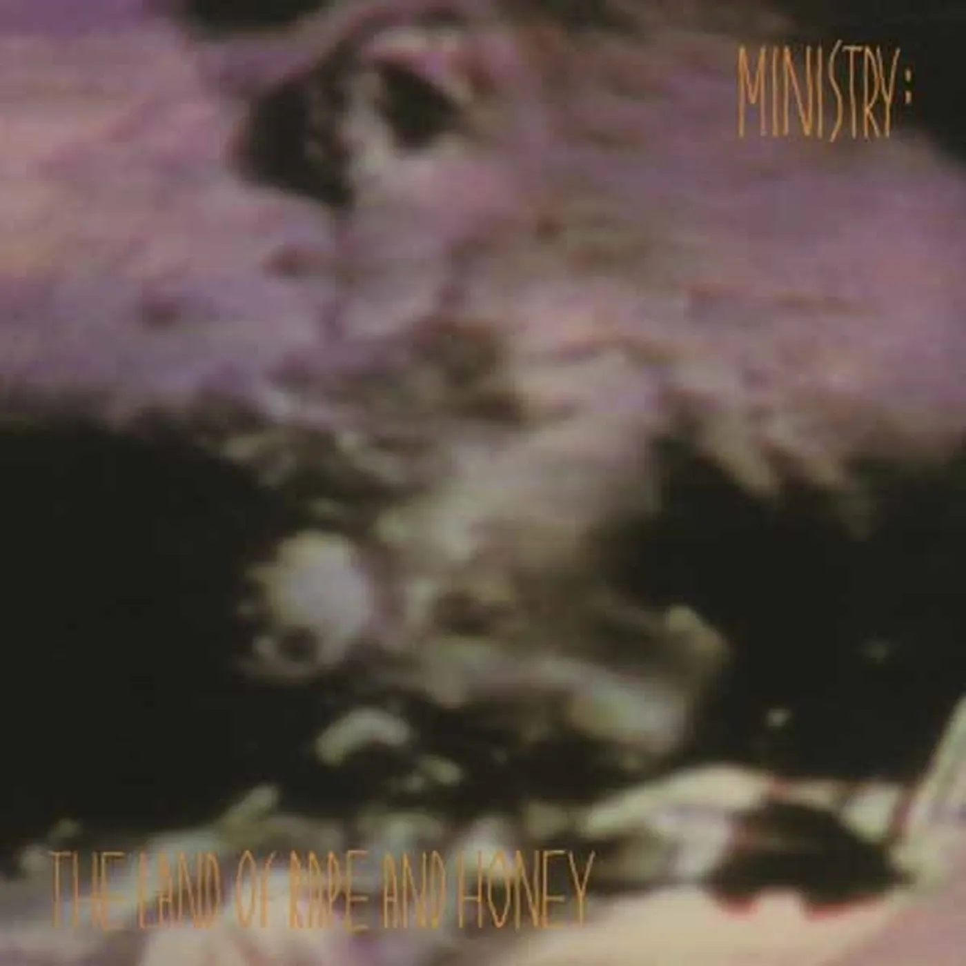 Ministry LP - The Land Of Rape And Honey (Vinyl)