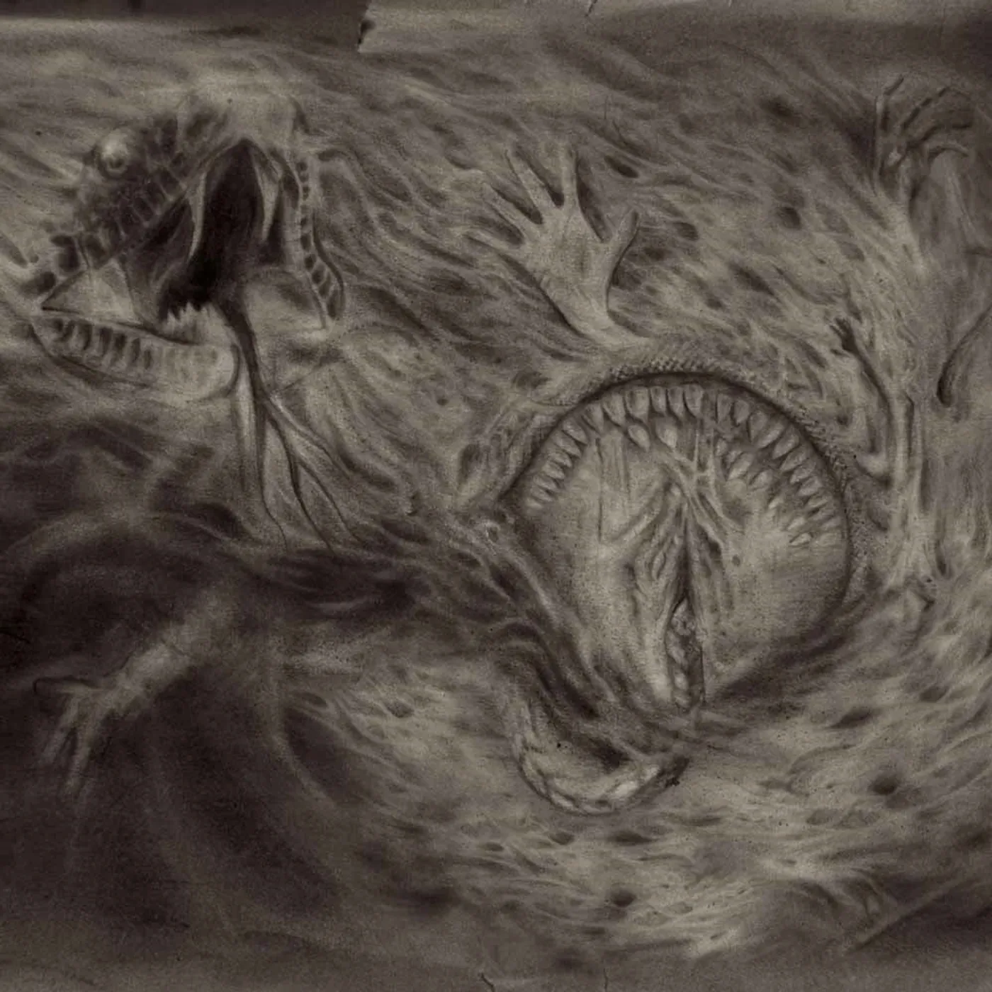 Nidsang LP - Into The Womb Of Dissolving Flames (Vinyl)