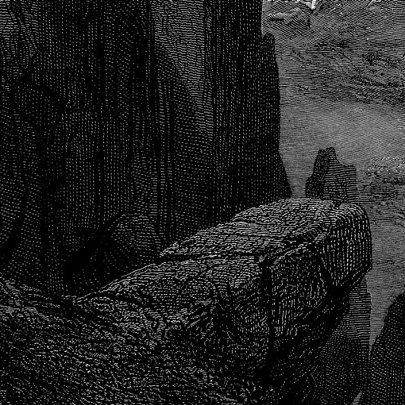 Null LP - Entity (Vinyl)