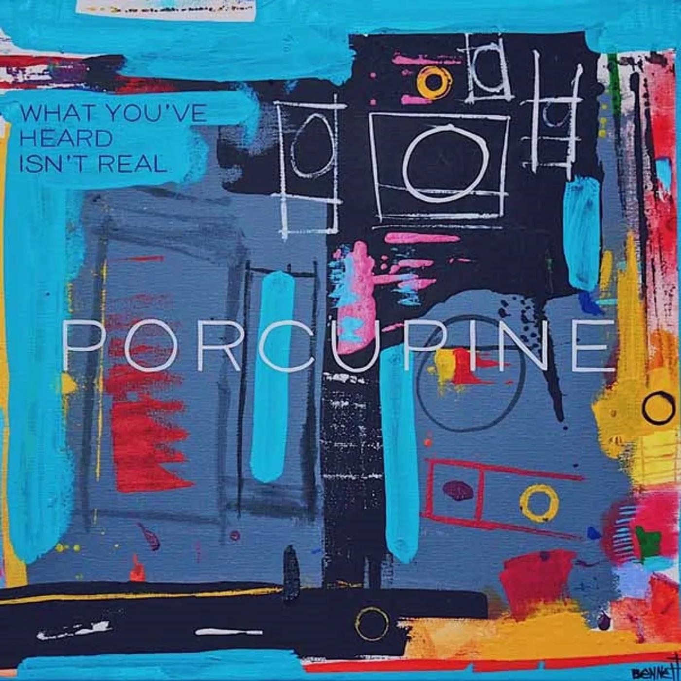 Porcupine LP - What You'Ve Heard Isn'T Real (Vinyl)