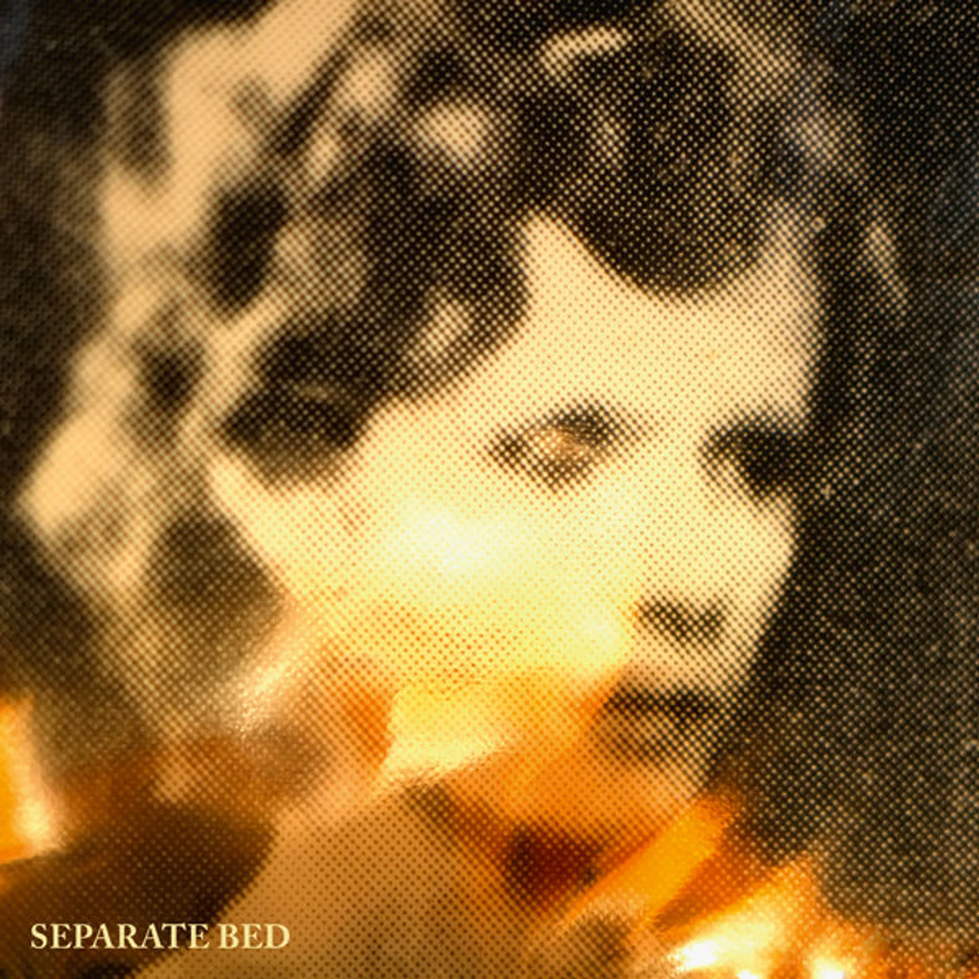 Separate Bed LP - Separate Bed (Vinyl)