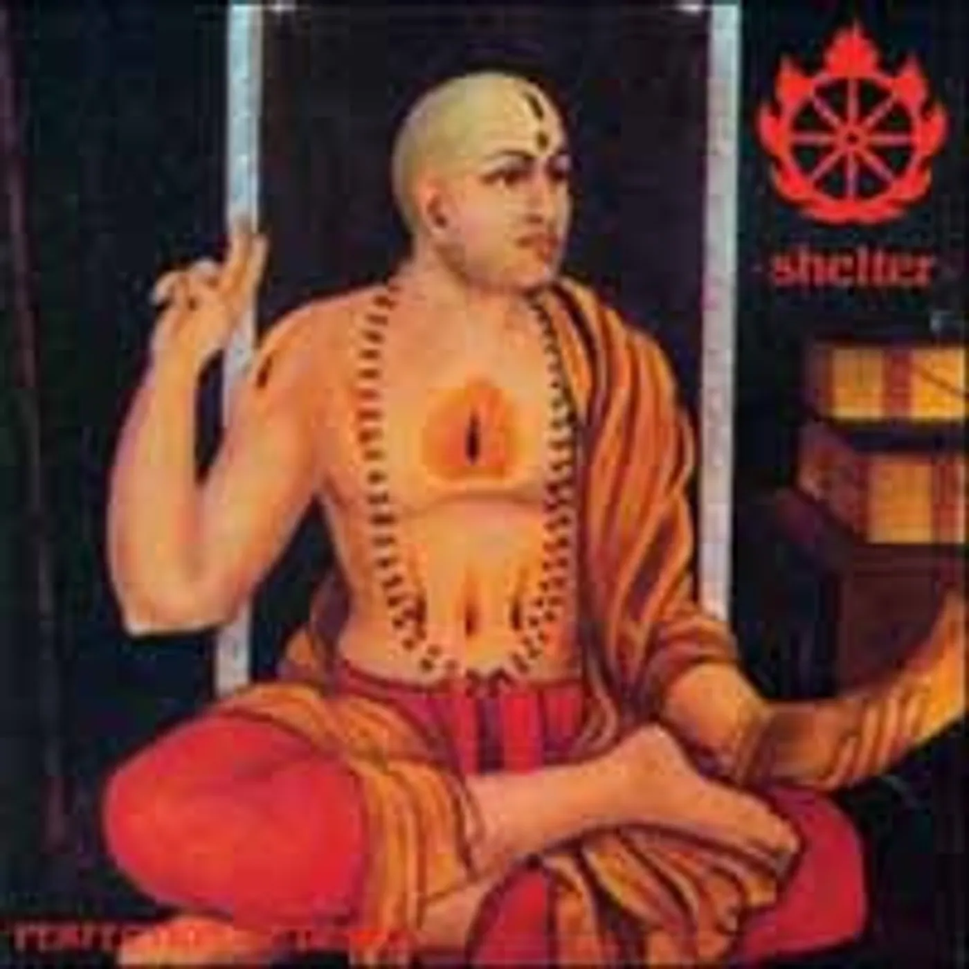 Shelter LP - Perfection Of Desire (Peach Coloured Vinyl)