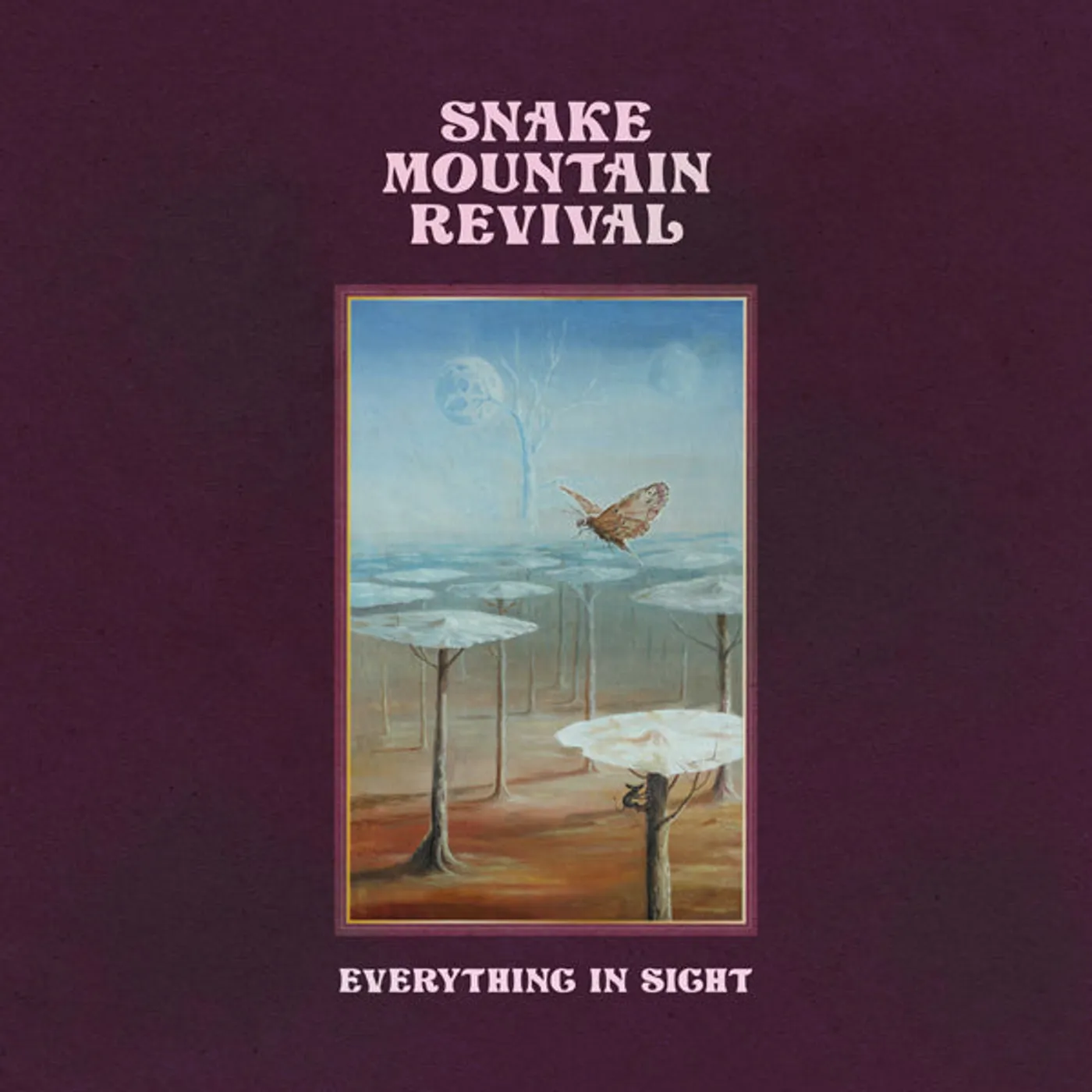 Snake Mountain Revival LP - Everything In Sight (Vinyl)