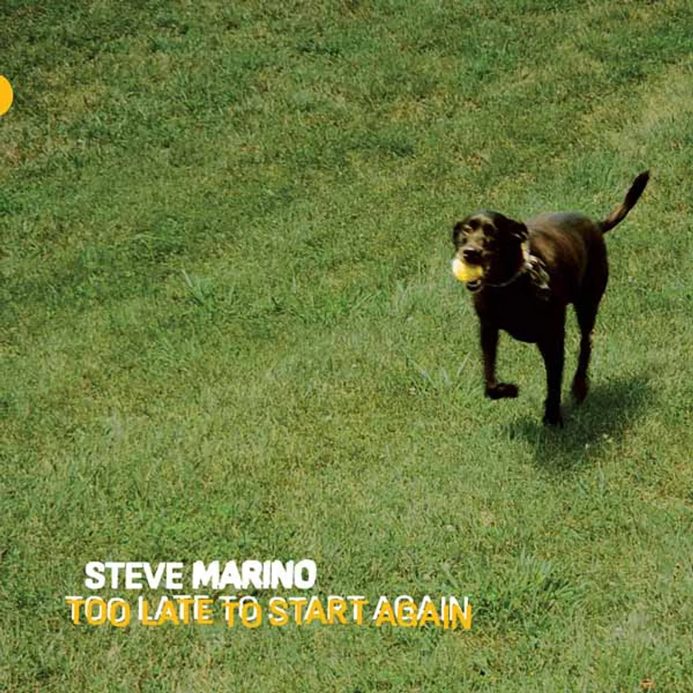  Steve Marino LP - Too Late To Start Again (Vinyl)