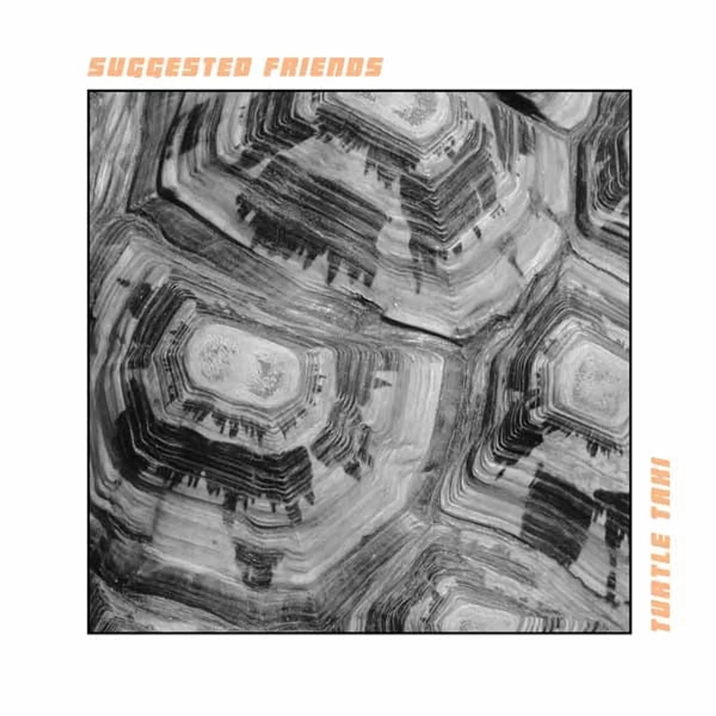 Suggested Friends LP - Turtle Taxi (Vinyl)