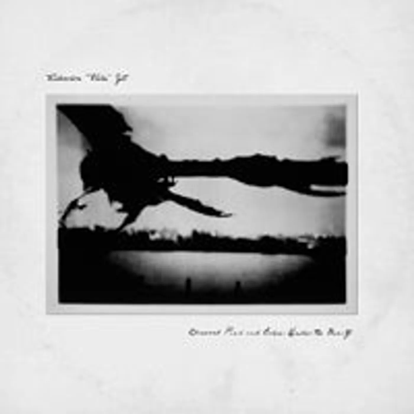 Takaakira 'Taka' Goto LP - Classical Punk & Echoes Under Beauty (Vinyl)