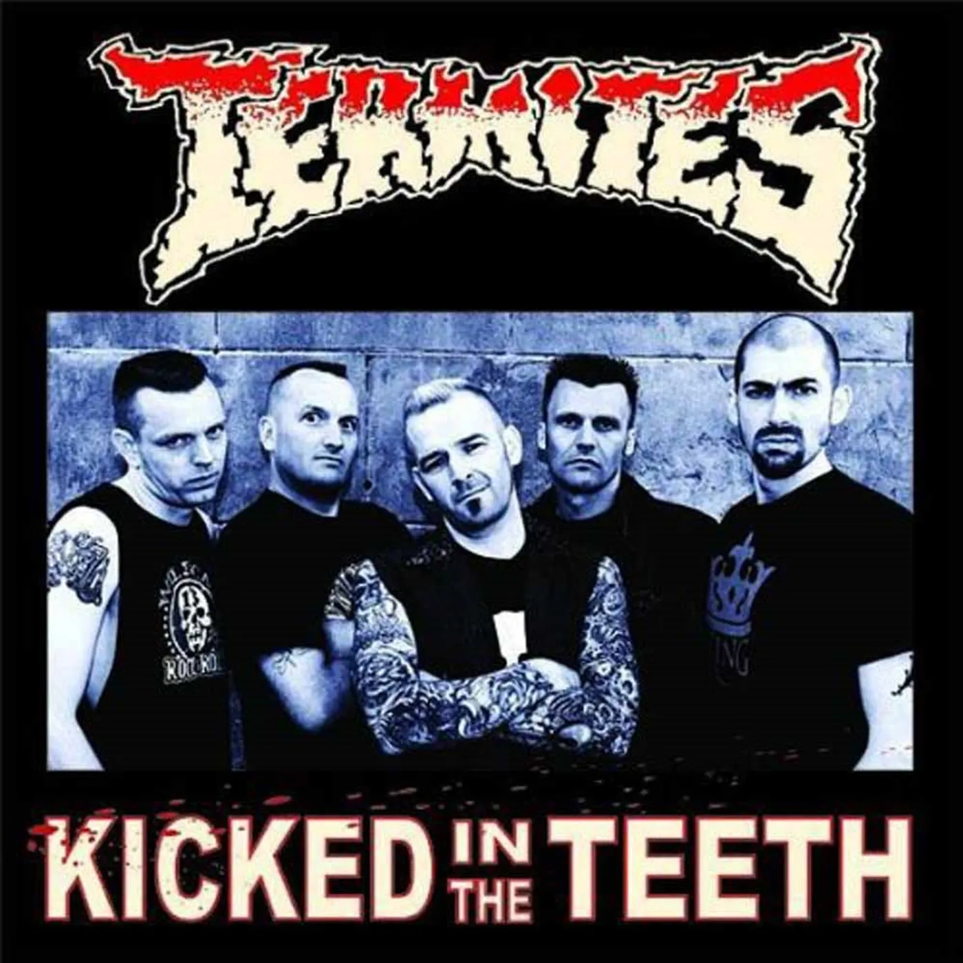 Termites LP - Kicked In The Teeth (Vinyl)