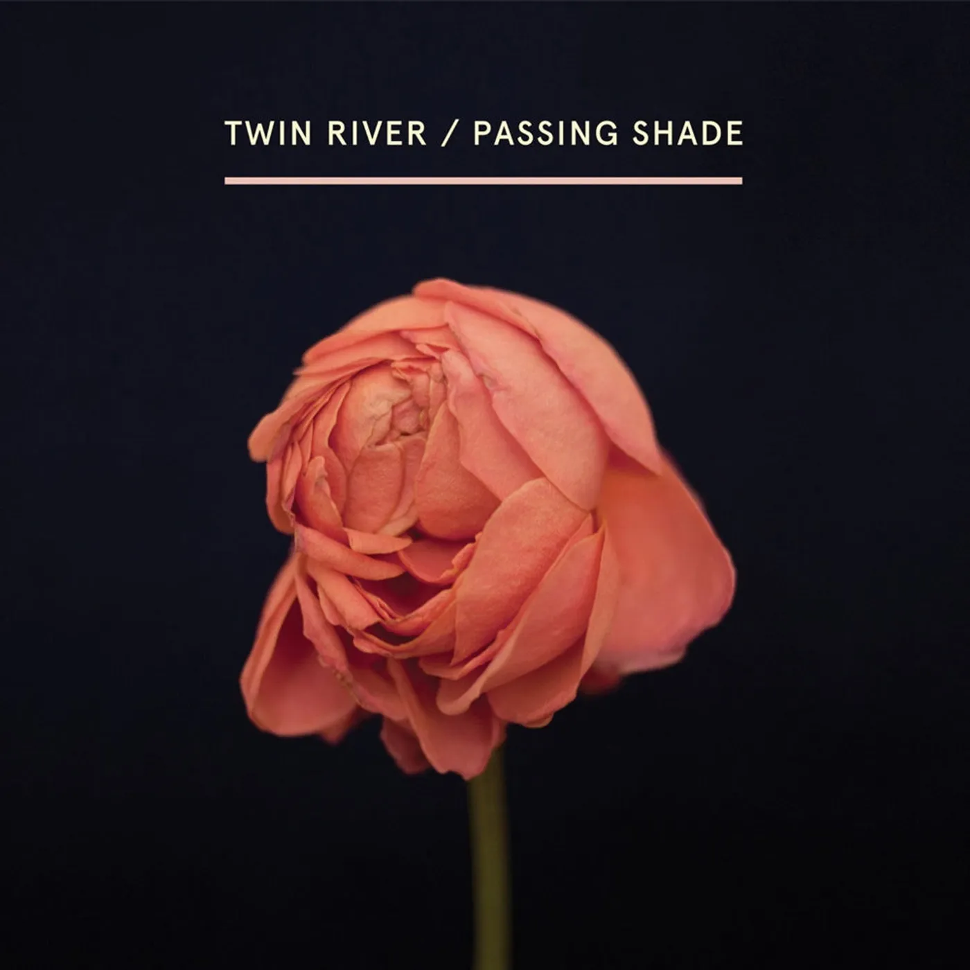 Twin River LP - Passing Shade (Vinyl)