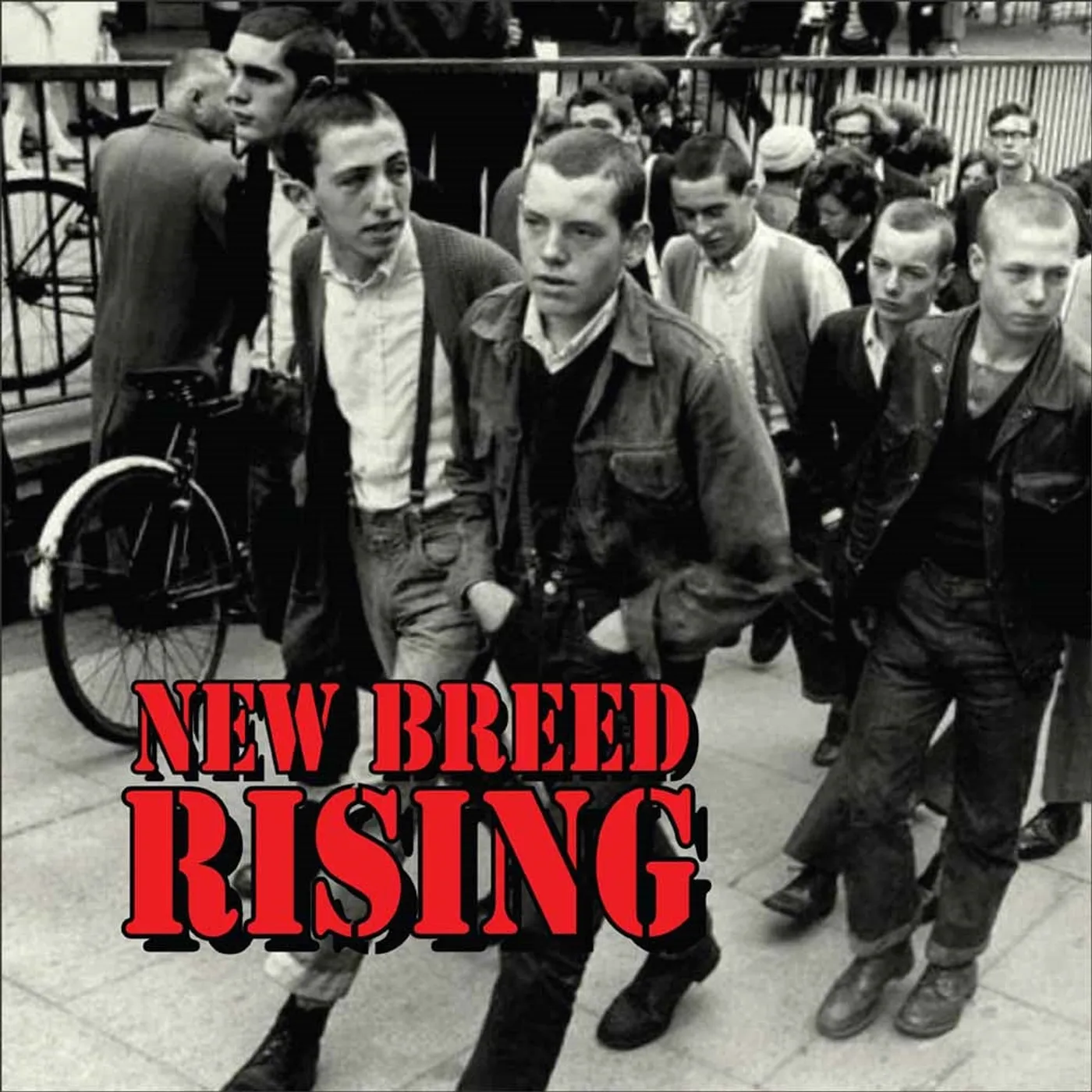 V/A LP - New Breed Rising (Vinyl)