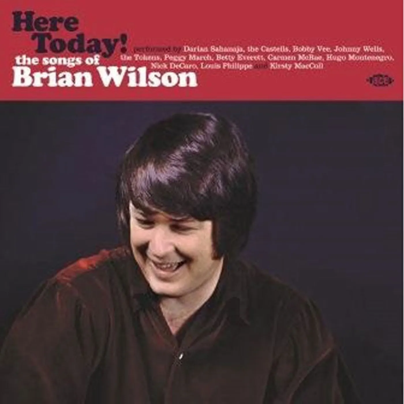Various Artists LP - Here Today! - The Songs Of Brian Wilson (Vinyl)