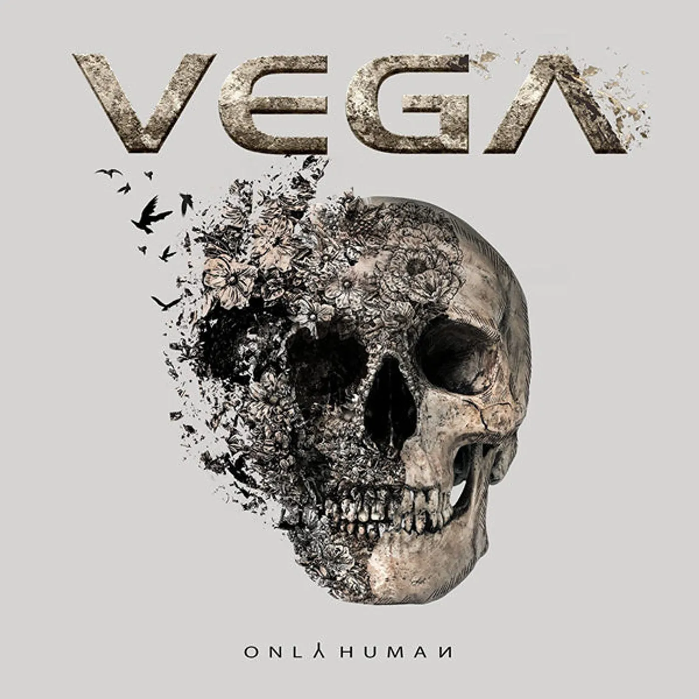 Vega LP - Only Human (Vinyl)