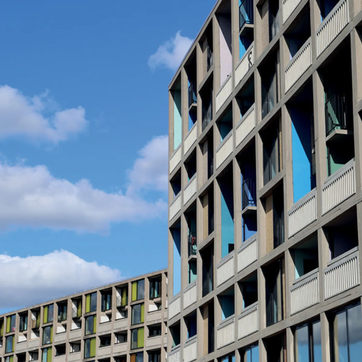 The Wedding Present LP - 24 Songs [3Lp/Dvd} (Vinyl)