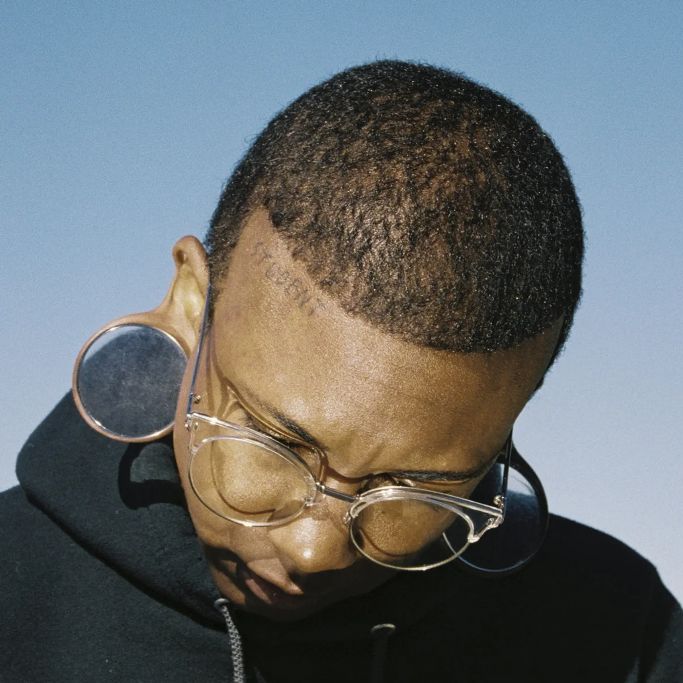 Wizard Apprentice LP - Dig A Pit (Vinyl)