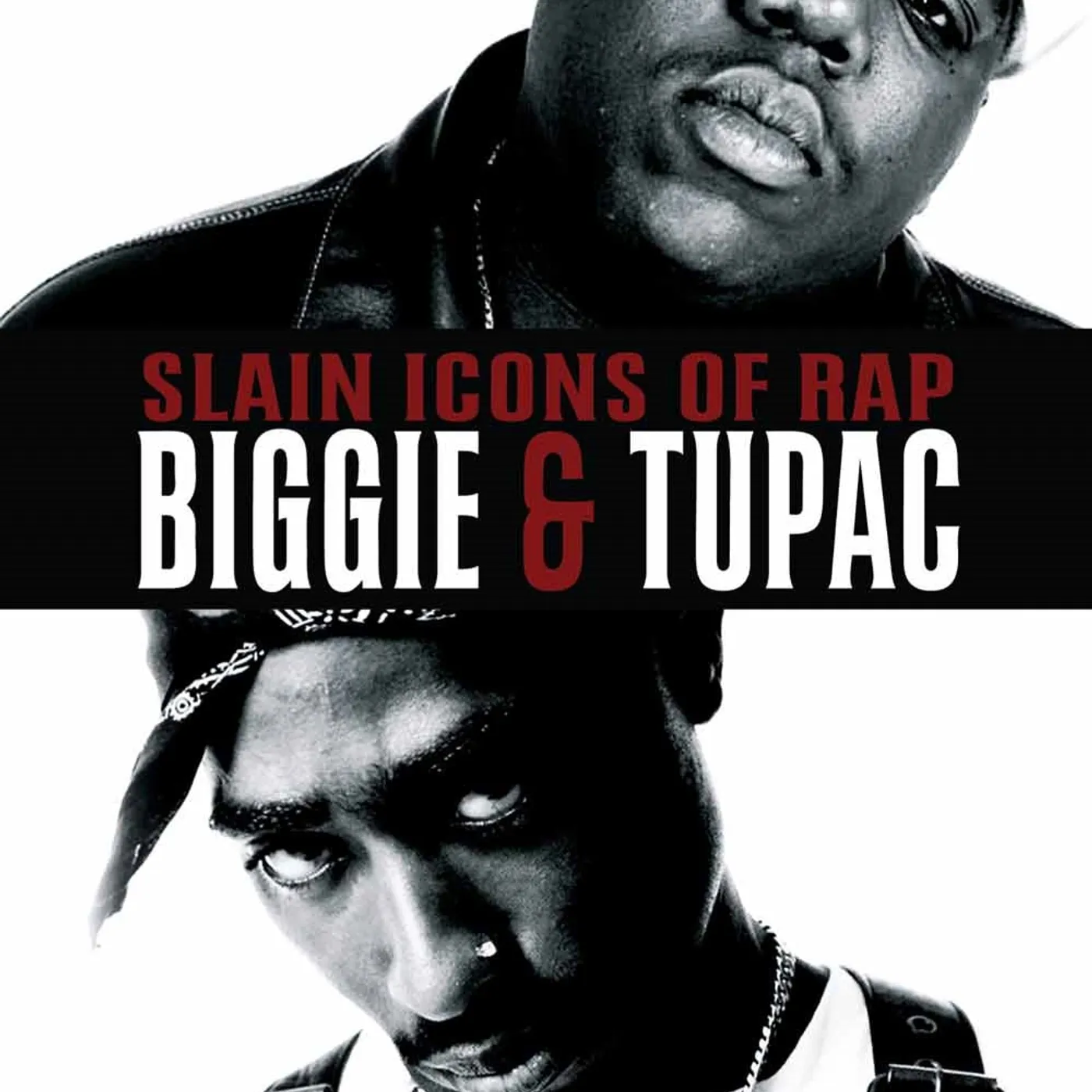 Feature Film DVD - Slain Icons Of Rap: Tupac Shakur & Christopher Wallace