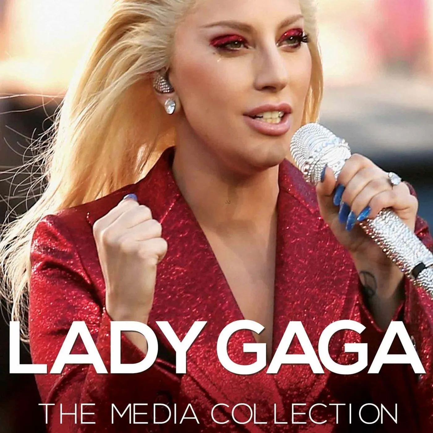 Lady Gaga DVD - The Media Collection