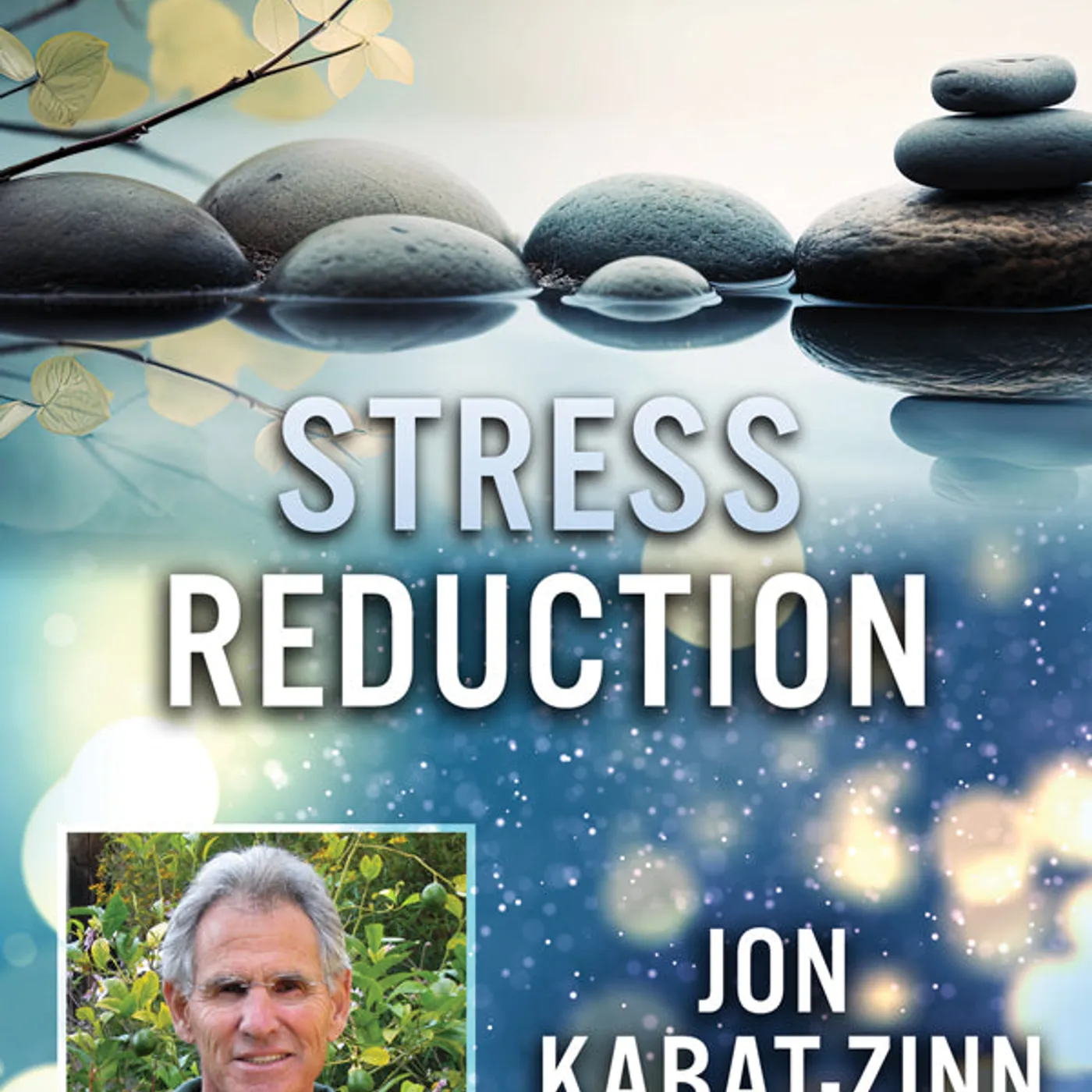 Feature Film DVD - Stress Reduction With Jon Kabat