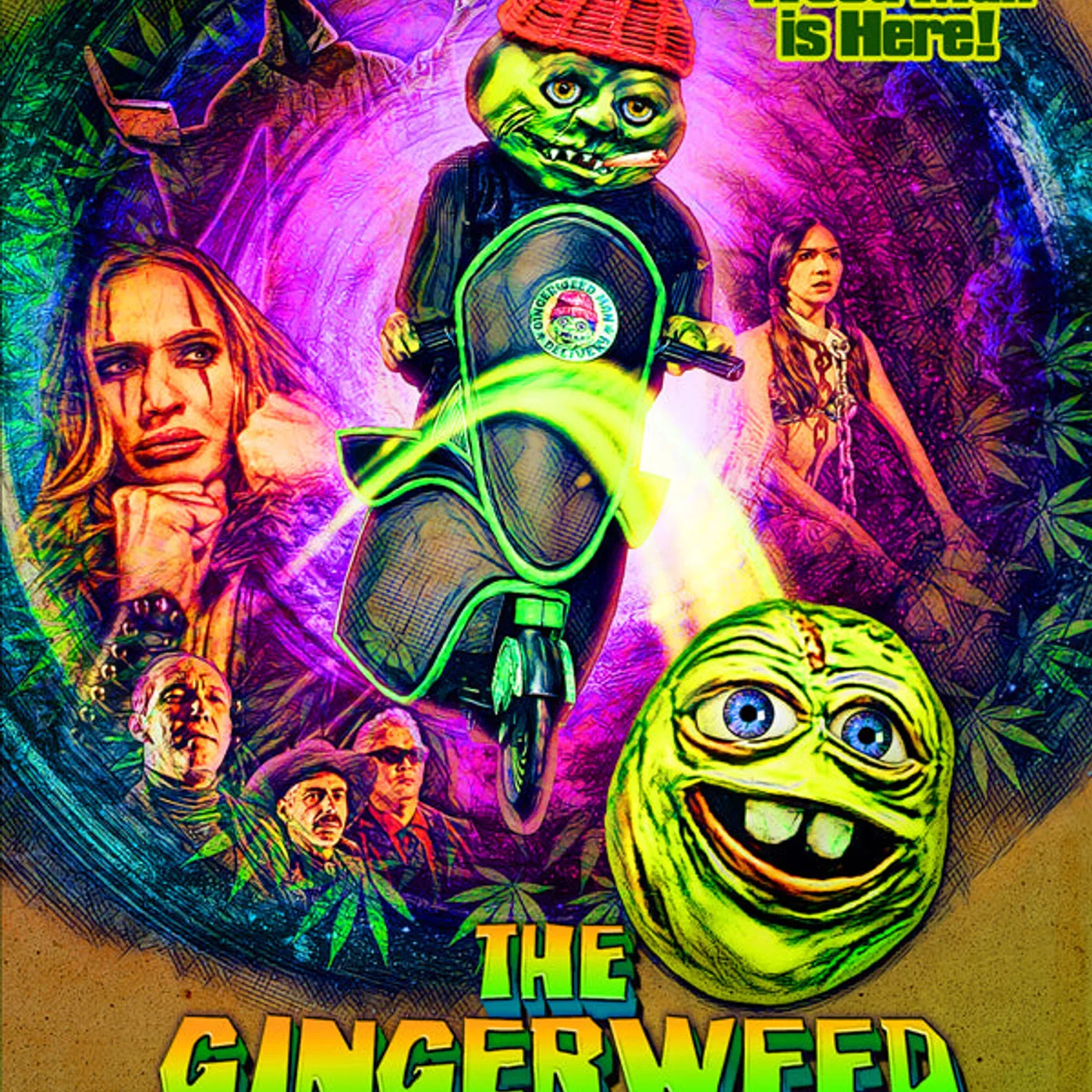 Feature Film DVD - The Gingerweed Man