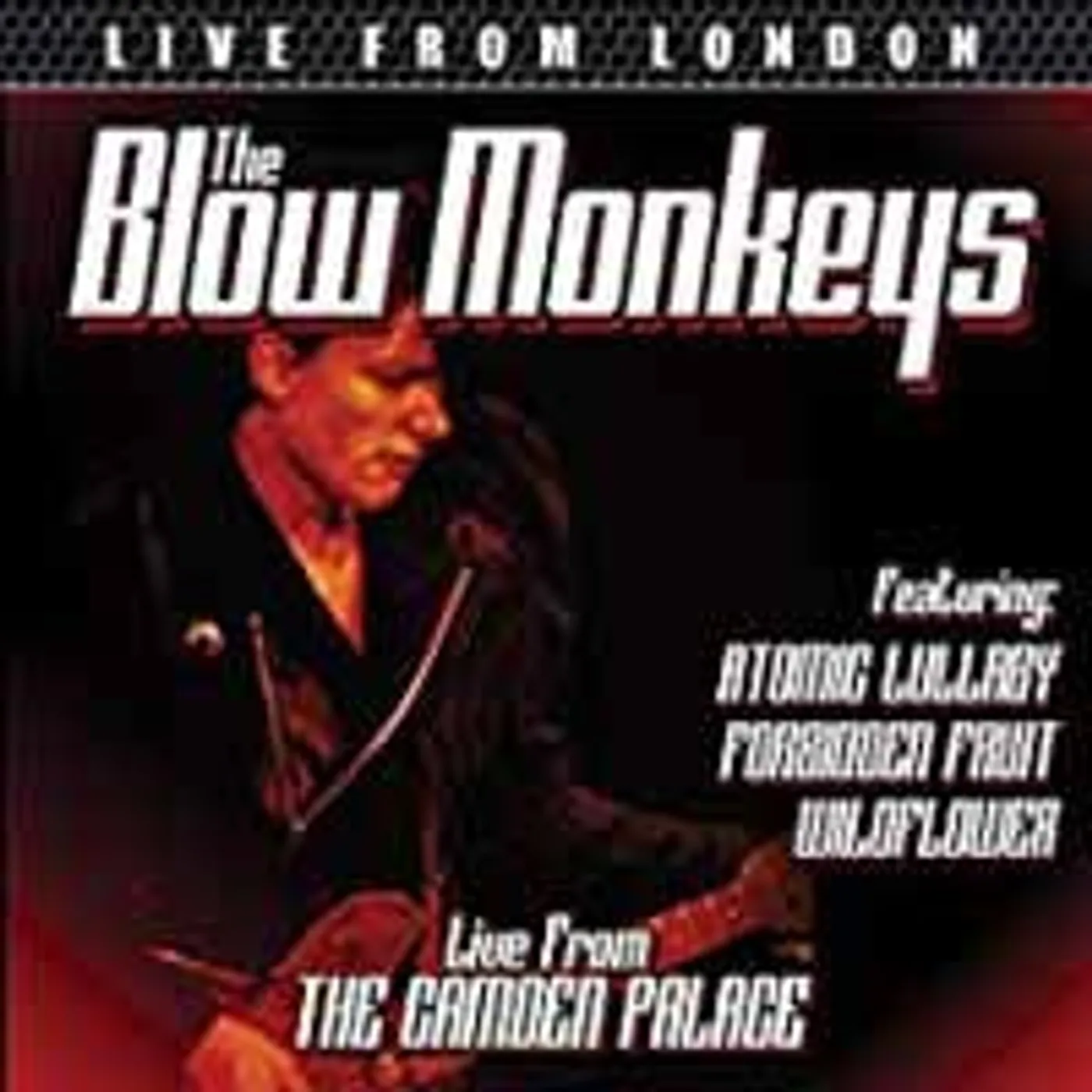 The Blow Monkeys DVD - Live From London