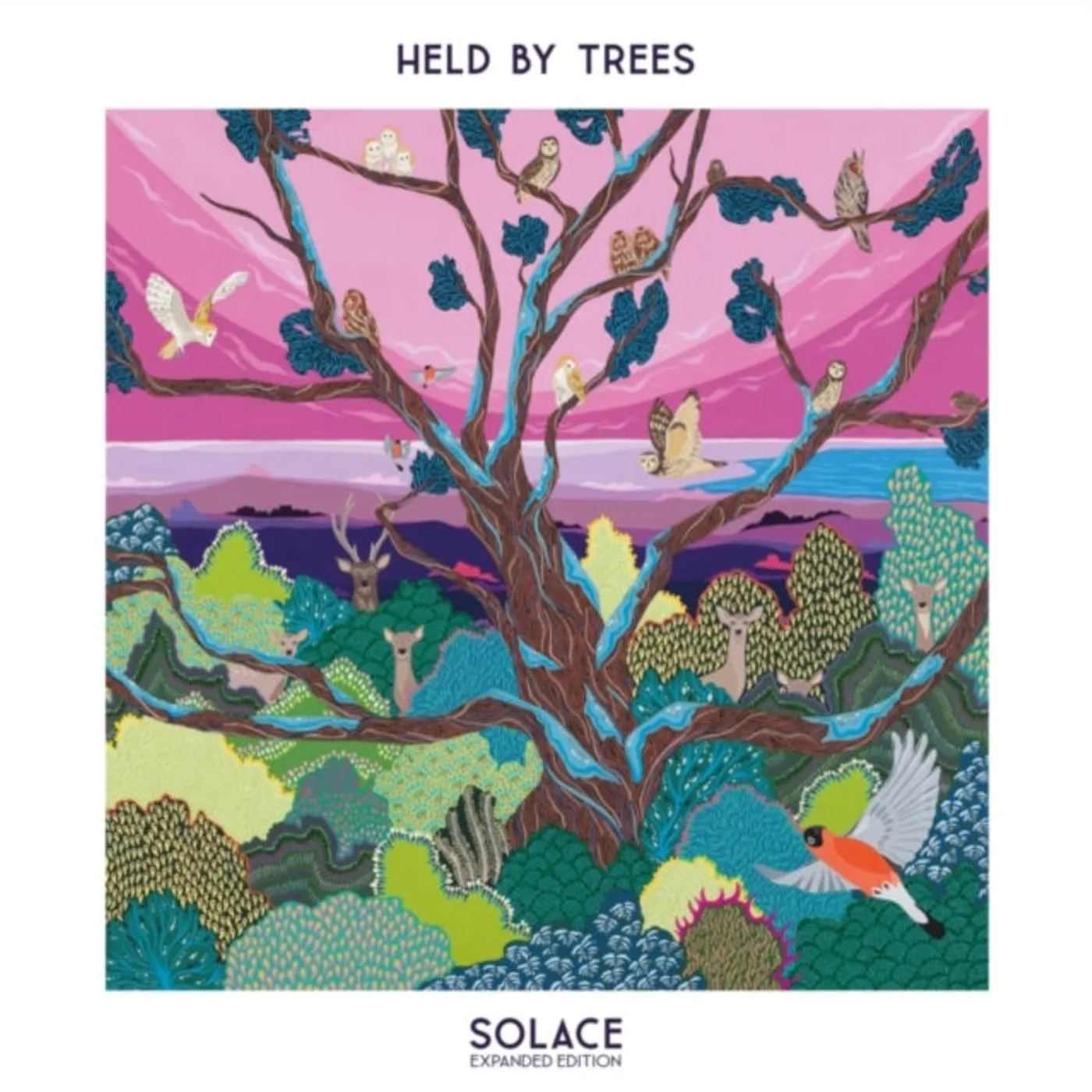 Held By Trees CD - Solace (Expanded Edition)