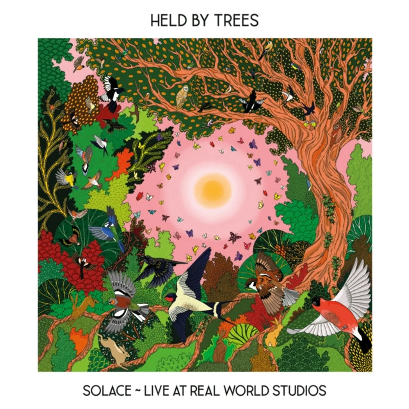 Held By Trees CD - Solace - Live From Real World Studios