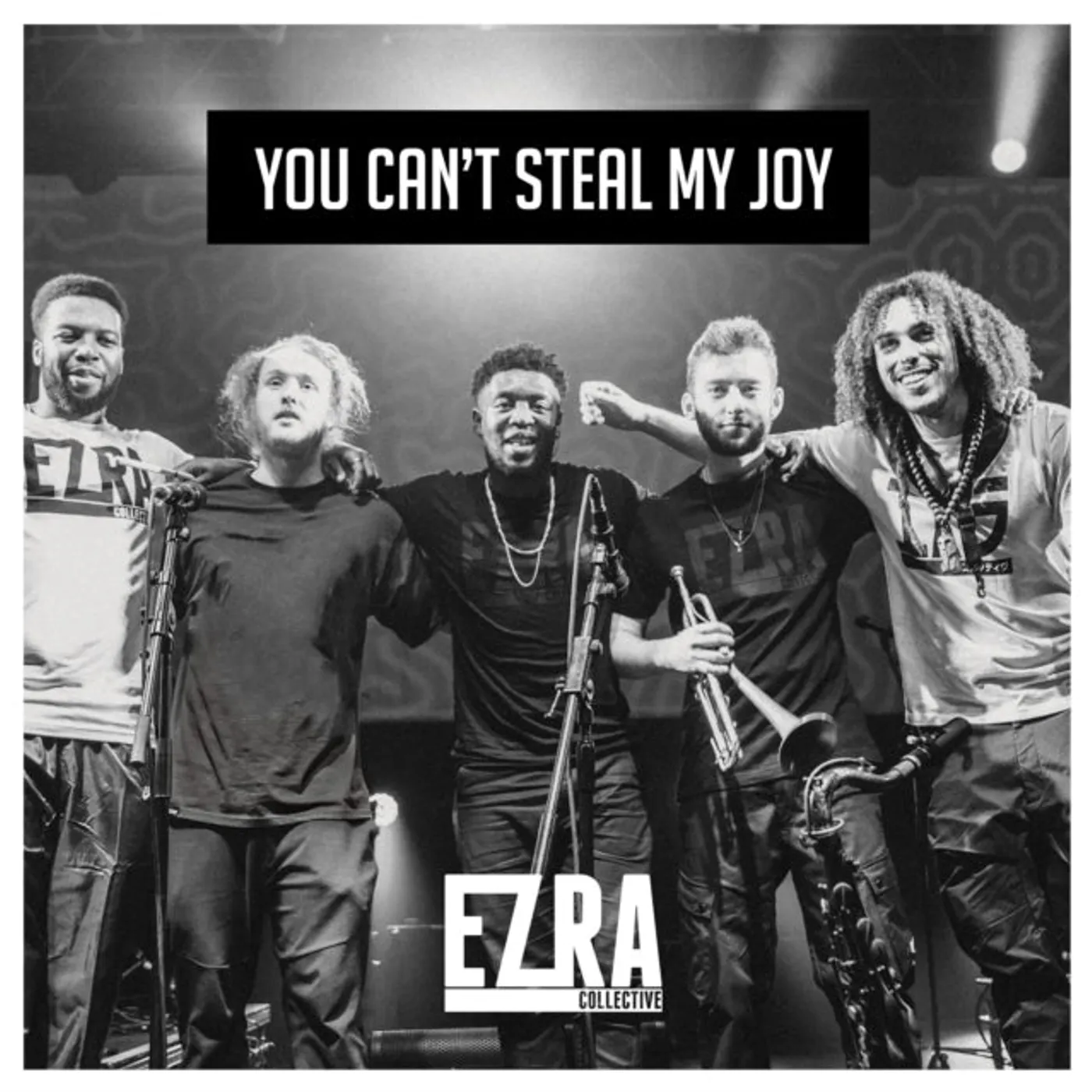 Ezra Collective LP - You Can'T Steal My Joy (Vinyl)