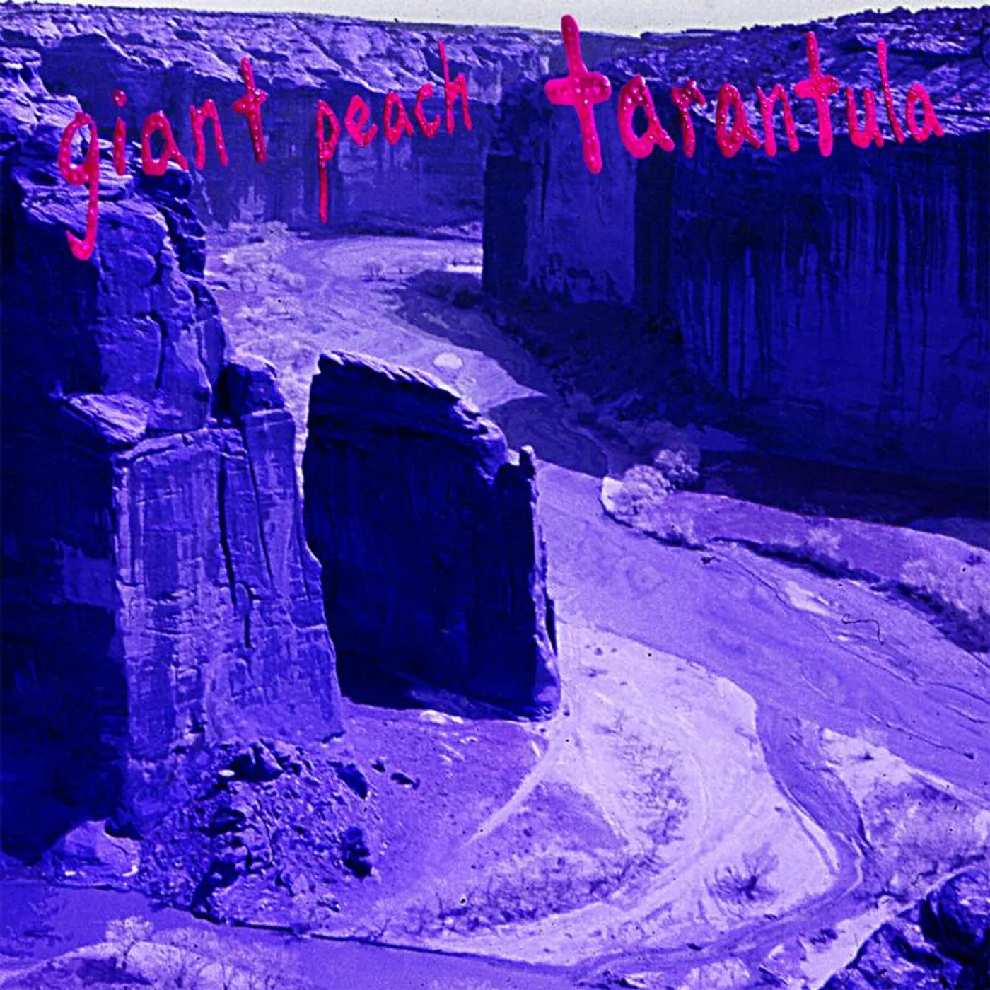 The Giant Peach LP - Tarantula (Vinyl)