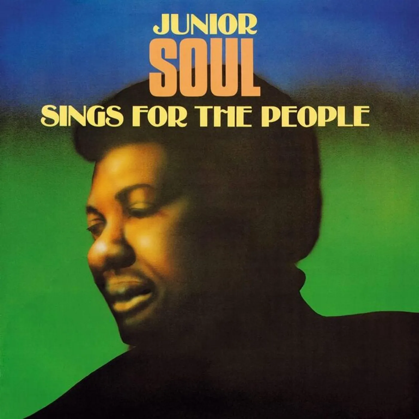 Junior Soul LP - Sings For The People (Vinyl)