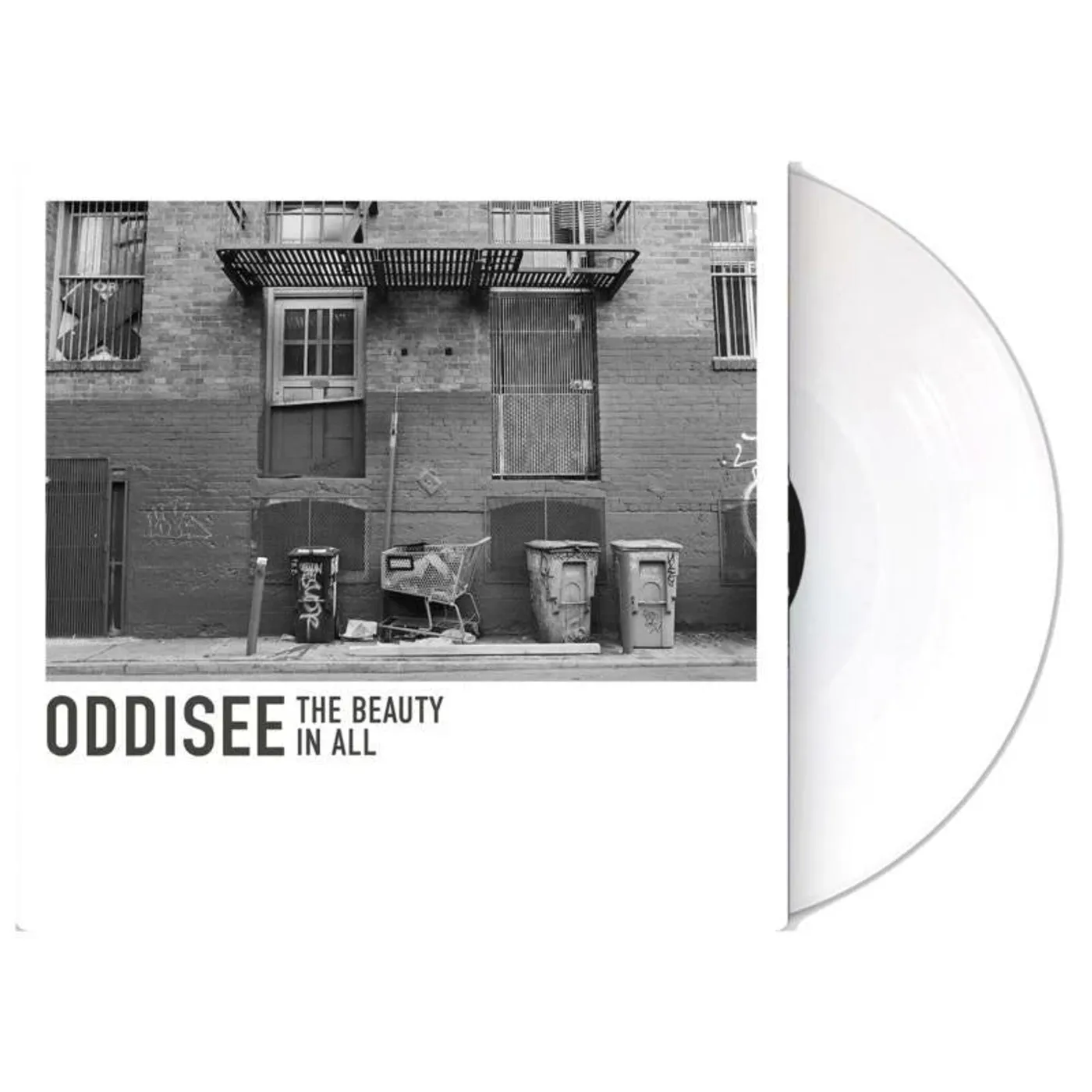 Oddisee LP - The Beauty In All (Vinyl)