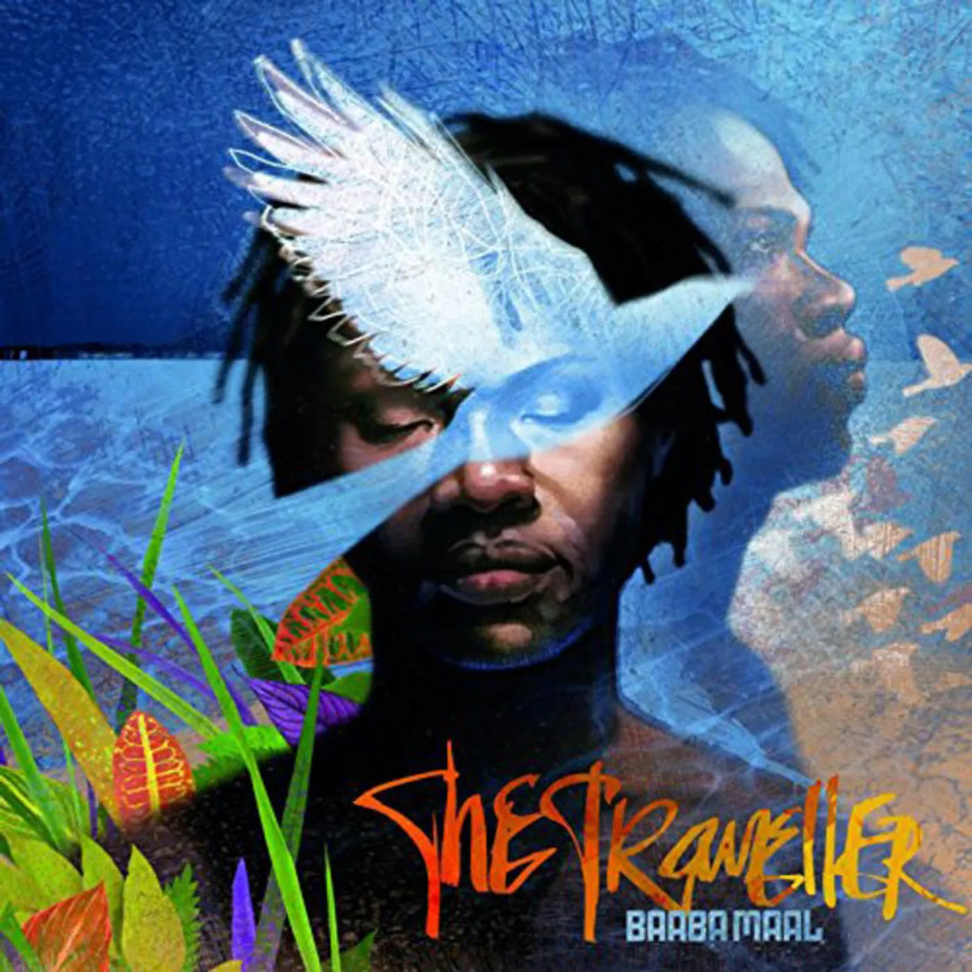 Baaba Maal LP - Traveller The (Vinyl)