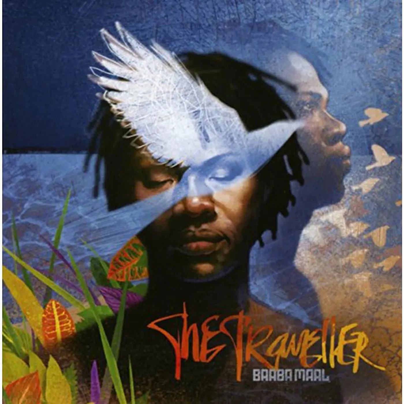 Baaba Maal CD - Traveller The