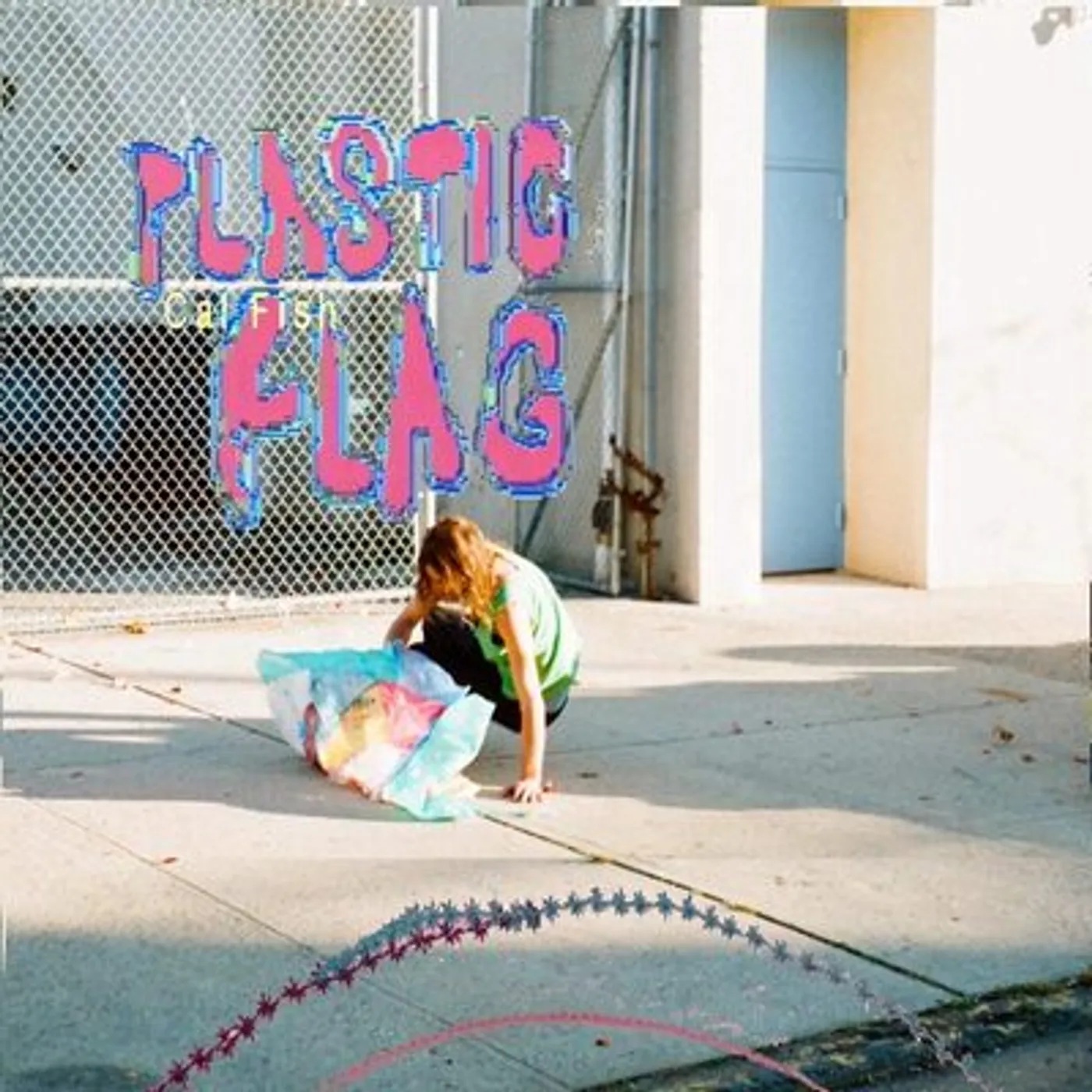 Cal Fish LP - Plastic Flag