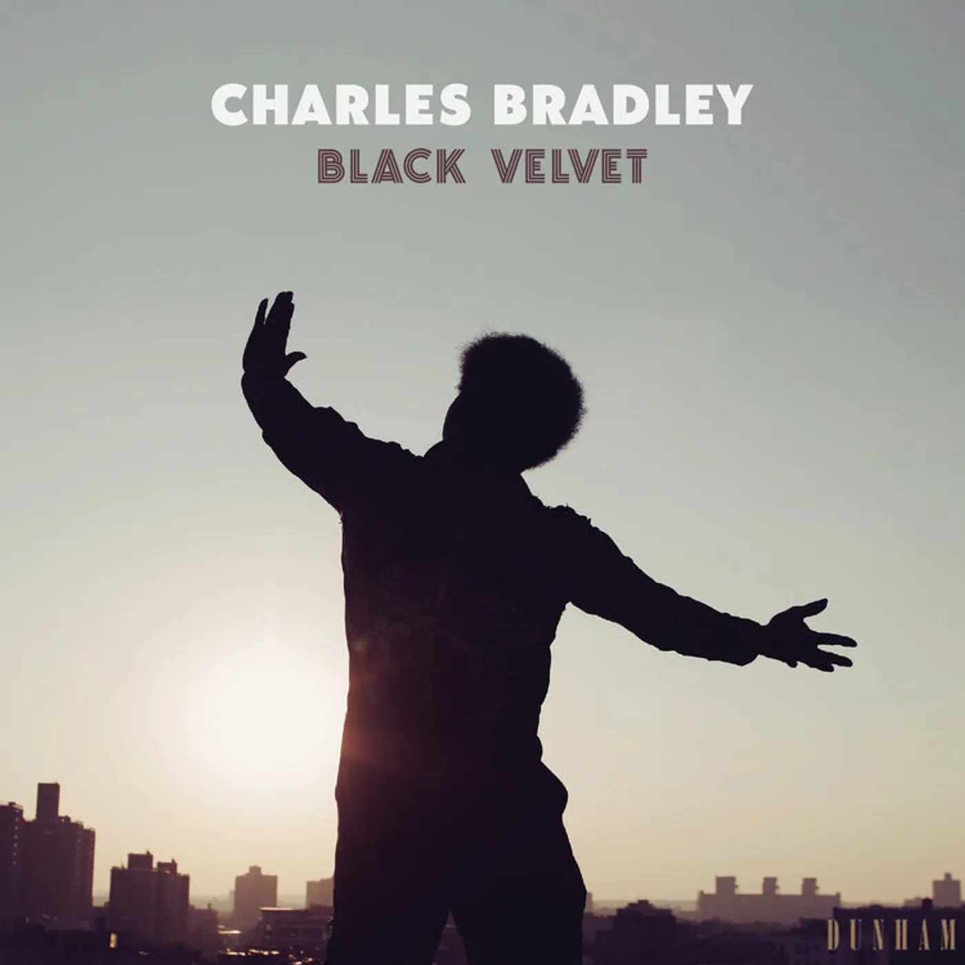 Charles Bradley LP - Black Velvet (Vinyl)