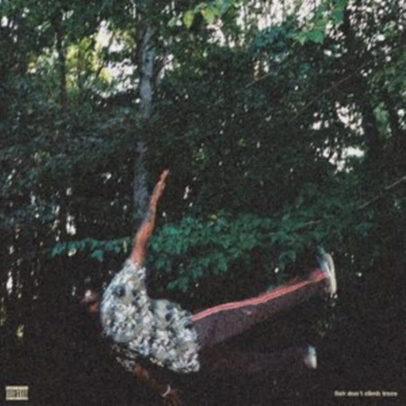 Chester Watson LP - Fish Dont Climb Trees (Vinyl)