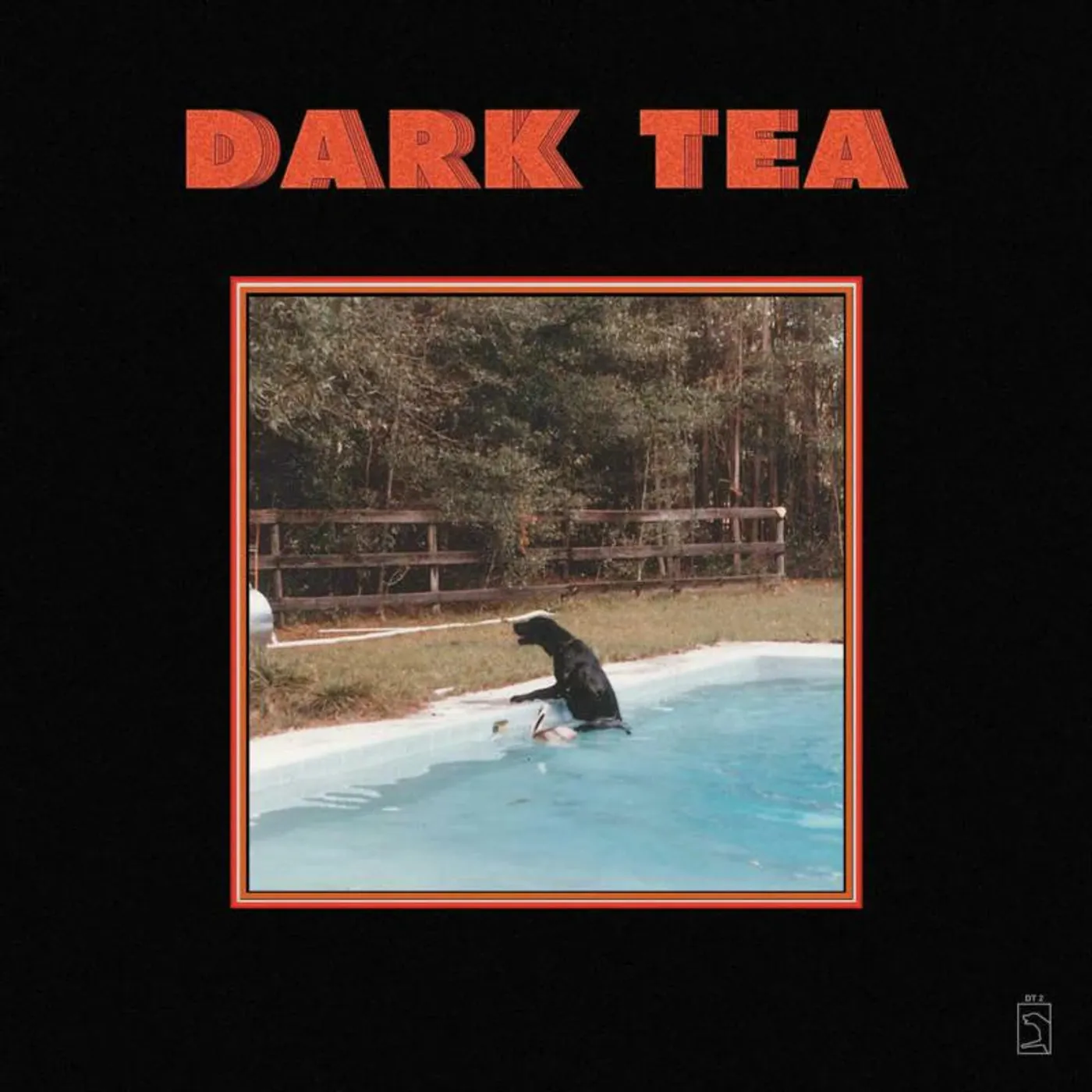 Dark Tea LP - Dark Tea (Vinyl)