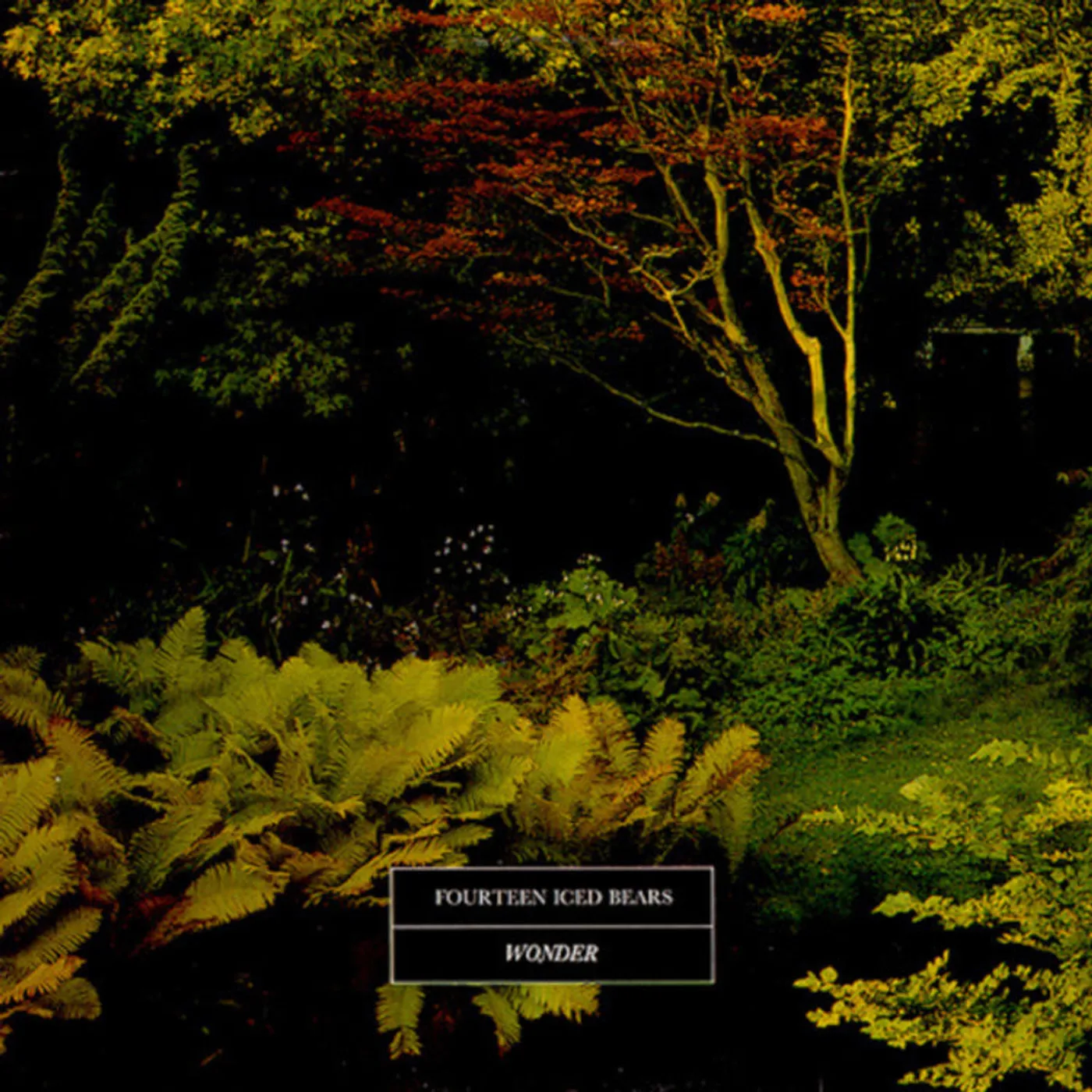 14 Iced Bears LP - Wonder (Vinyl)