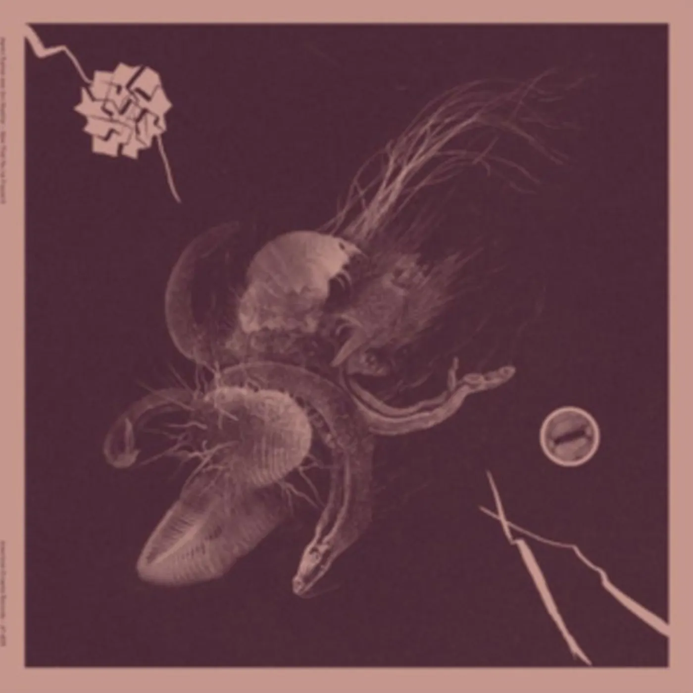 Aaron Turner & Jon Mueller LP - Now That Youve Found It (Vinyl)