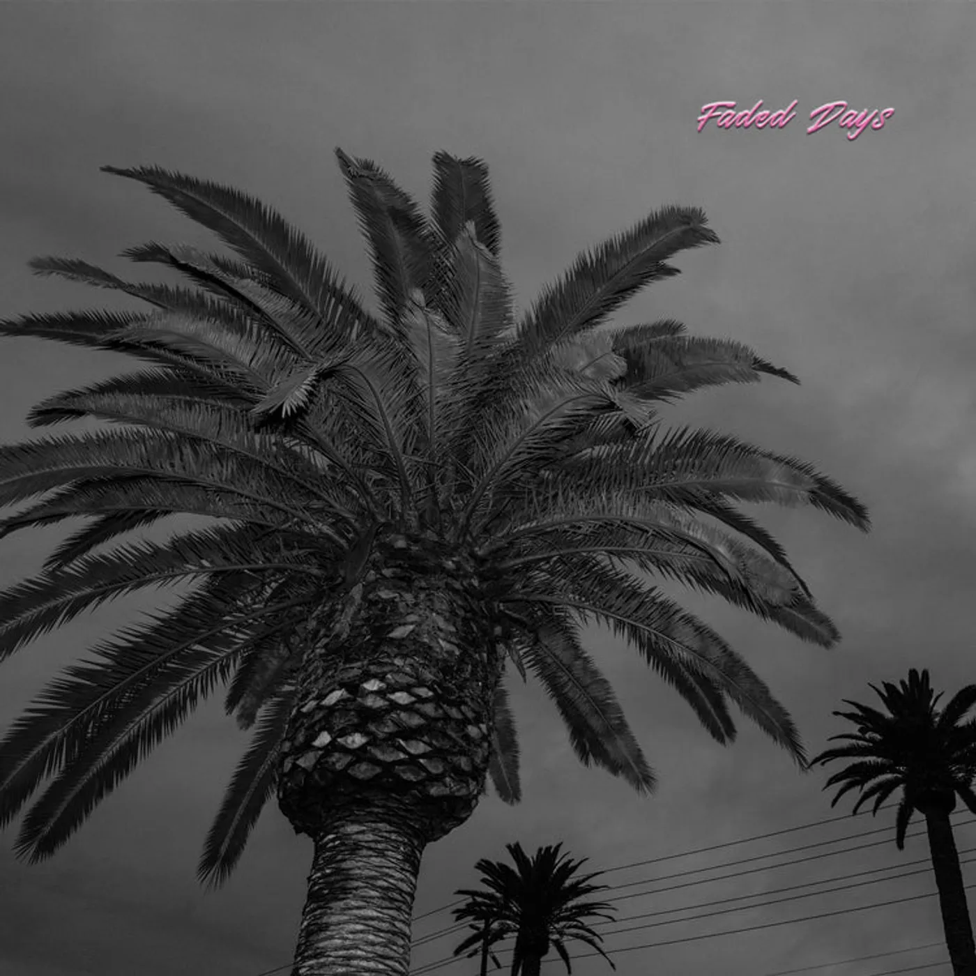 Actual Wolf LP - Faded Days (Vinyl)