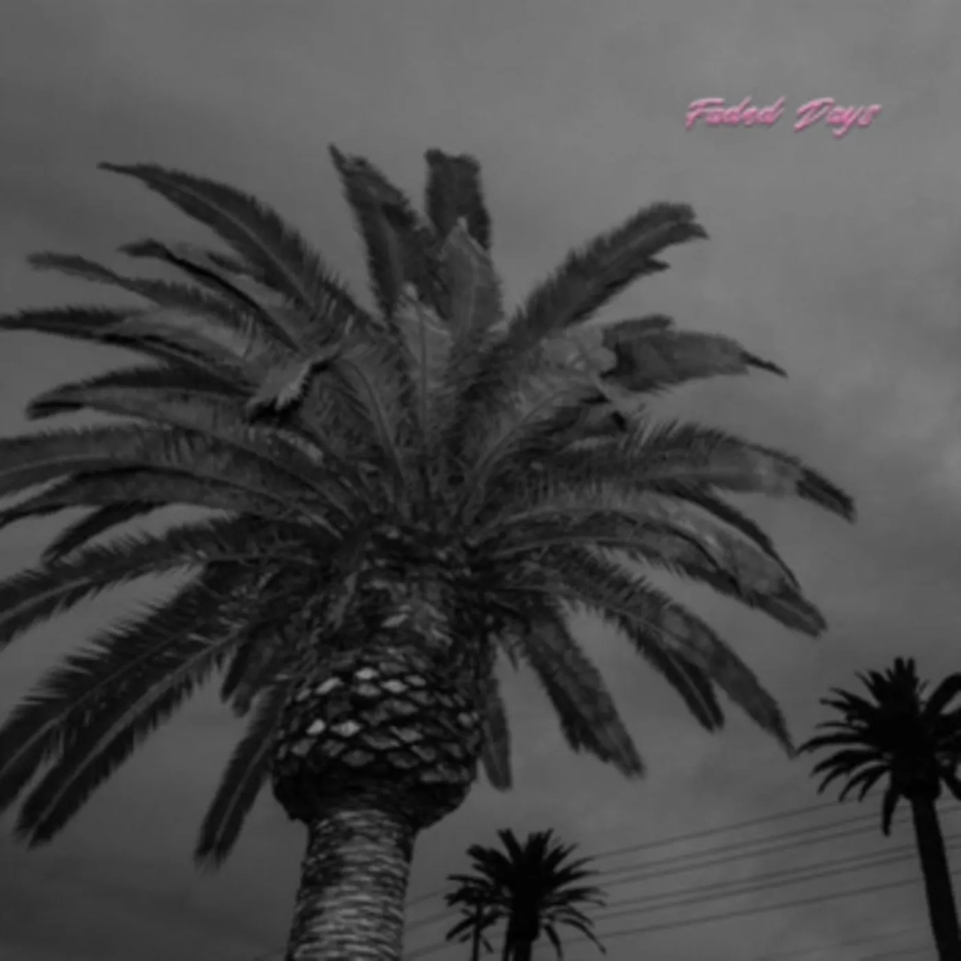 Actual Wolf LP - Faded Days (Vinyl)