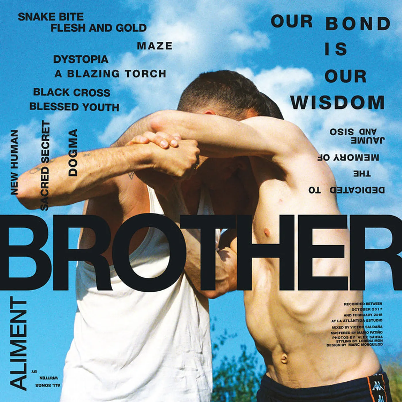 Aliment LP - Brother (Vinyl)