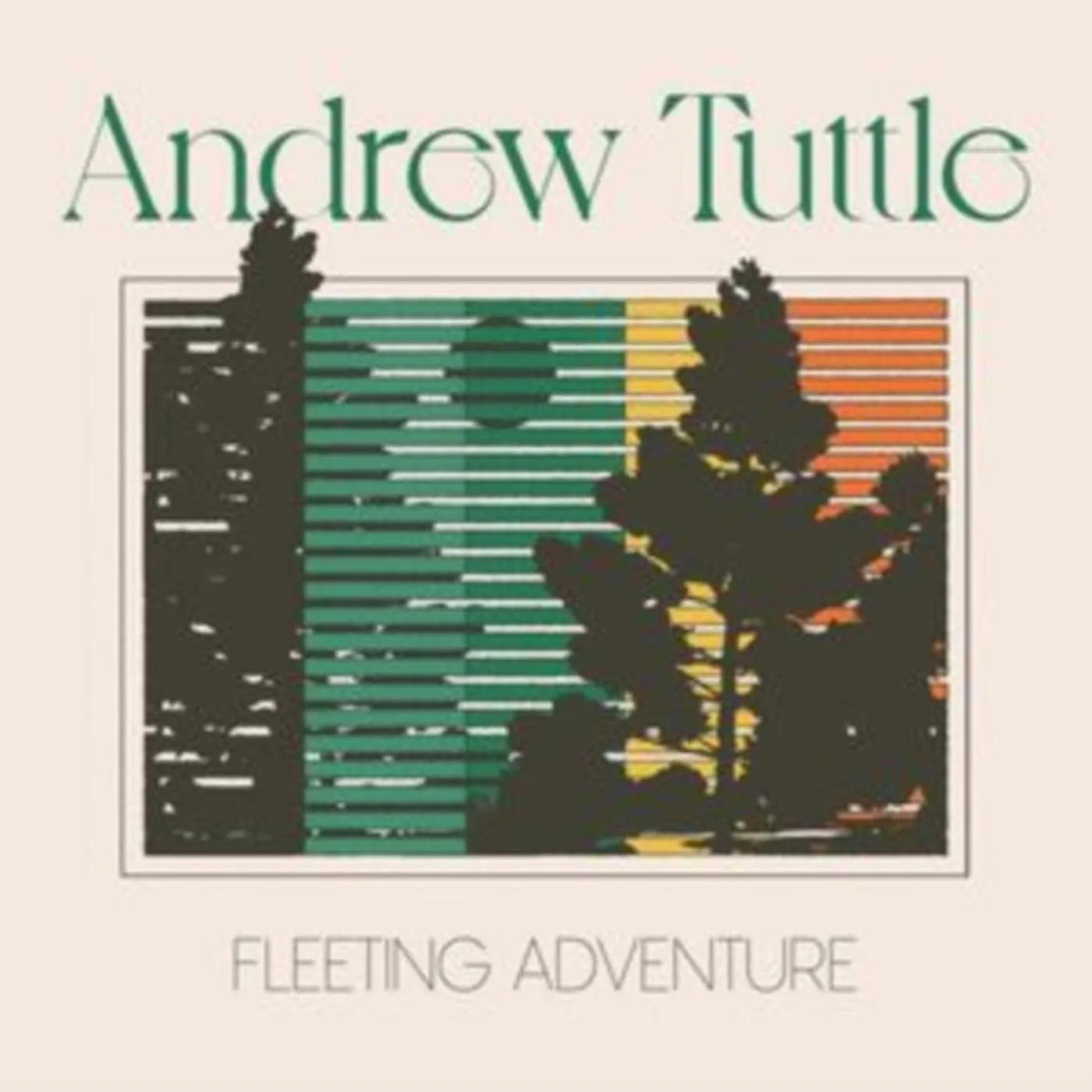 Andrew Tuttle LP - Fleeting Adventure (Vinyl)